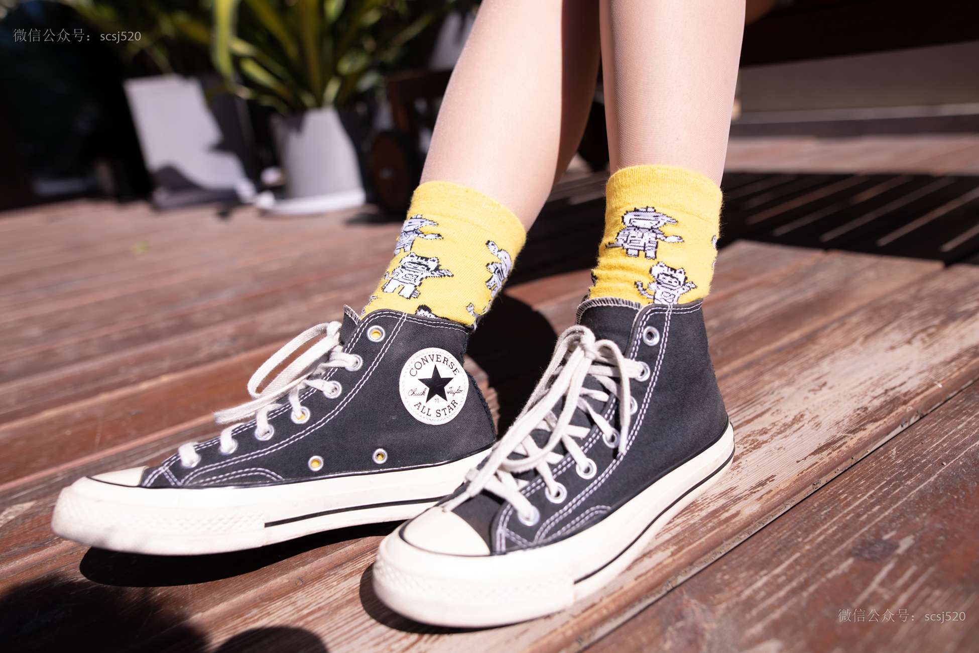 图片[76]-[LSS山茶摄影]NO.242 丝袜穿搭85[80P] – 速更版-美库