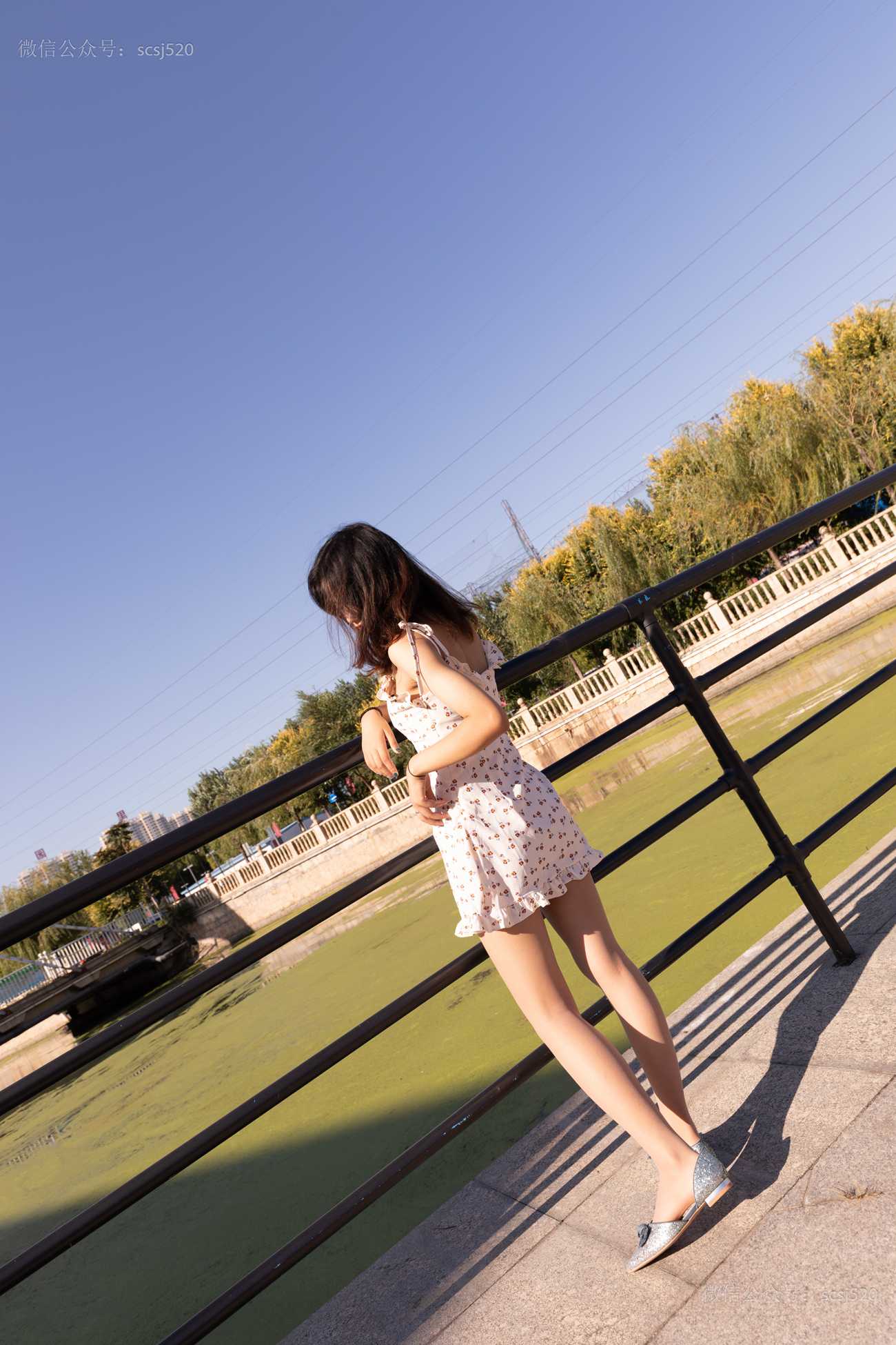 图片[17]-[LSS山茶摄影]NO.247 丝袜穿搭90[67P] – 速更版-美库