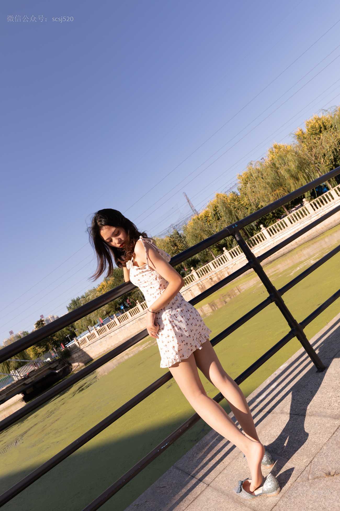 图片[19]-[LSS山茶摄影]NO.247 丝袜穿搭90[67P] – 速更版-美库