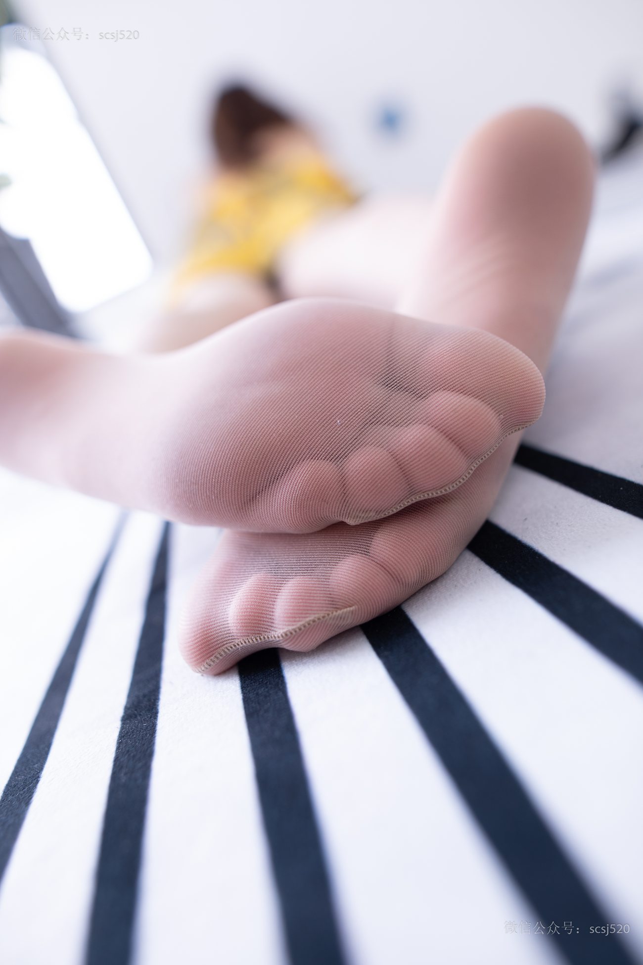 图片[19]-[LSS山茶摄影]NO.248 丝袜穿搭91[79P] – 速更版-美库