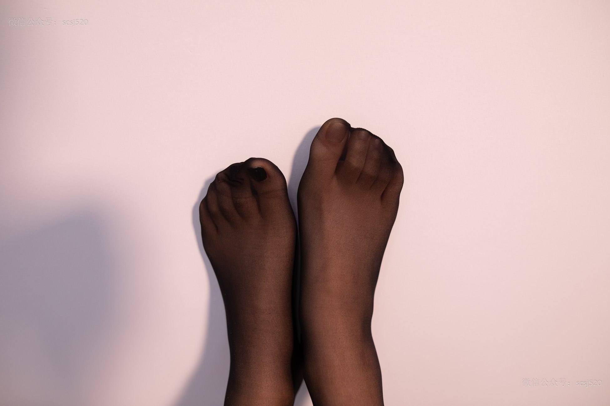 图片[26]-[LSS山茶摄影]NO.249 丝袜穿搭92[94P] – 速更版-美库