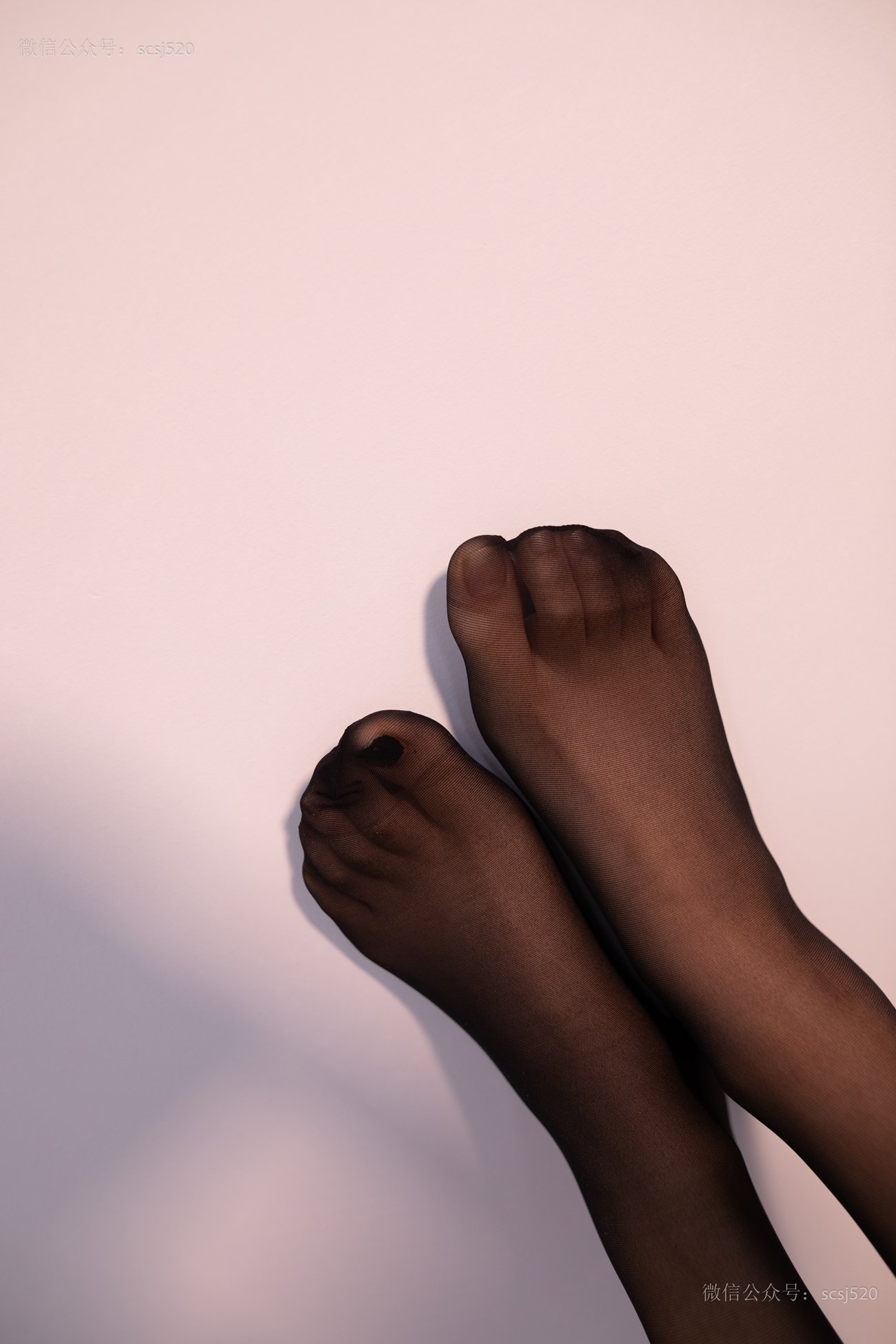 图片[27]-[LSS山茶摄影]NO.249 丝袜穿搭92[94P] – 速更版-美库