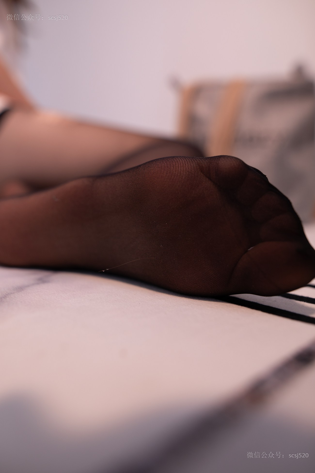 图片[92]-[LSS山茶摄影]NO.249 丝袜穿搭92[94P] – 速更版-美库