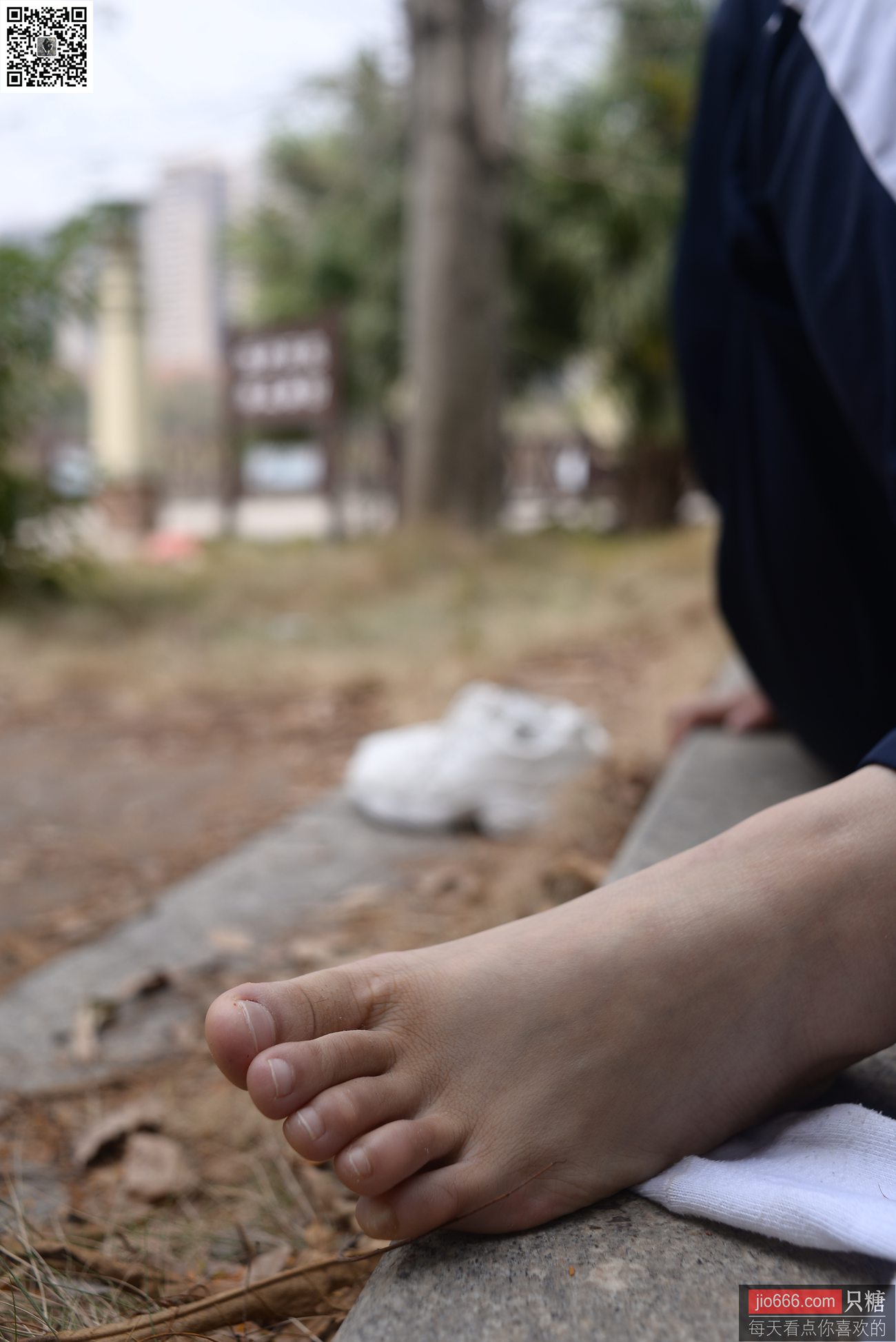 图片[133]-[只糖棉袜]NO.155 兔纸 微笑真好[273P] – 速更版-美库