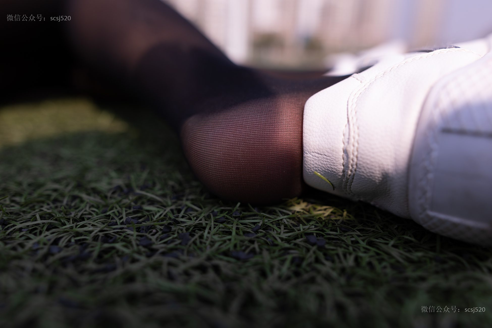 图片[17]-[LSS山茶摄影]NO.252 丝袜穿搭95[94P] – 速更版-美库