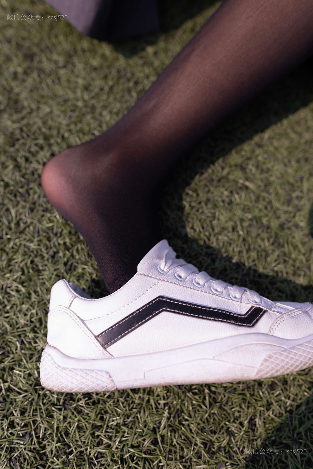 图片[19]-[LSS山茶摄影]NO.252 丝袜穿搭95[94P] – 速更版-美库