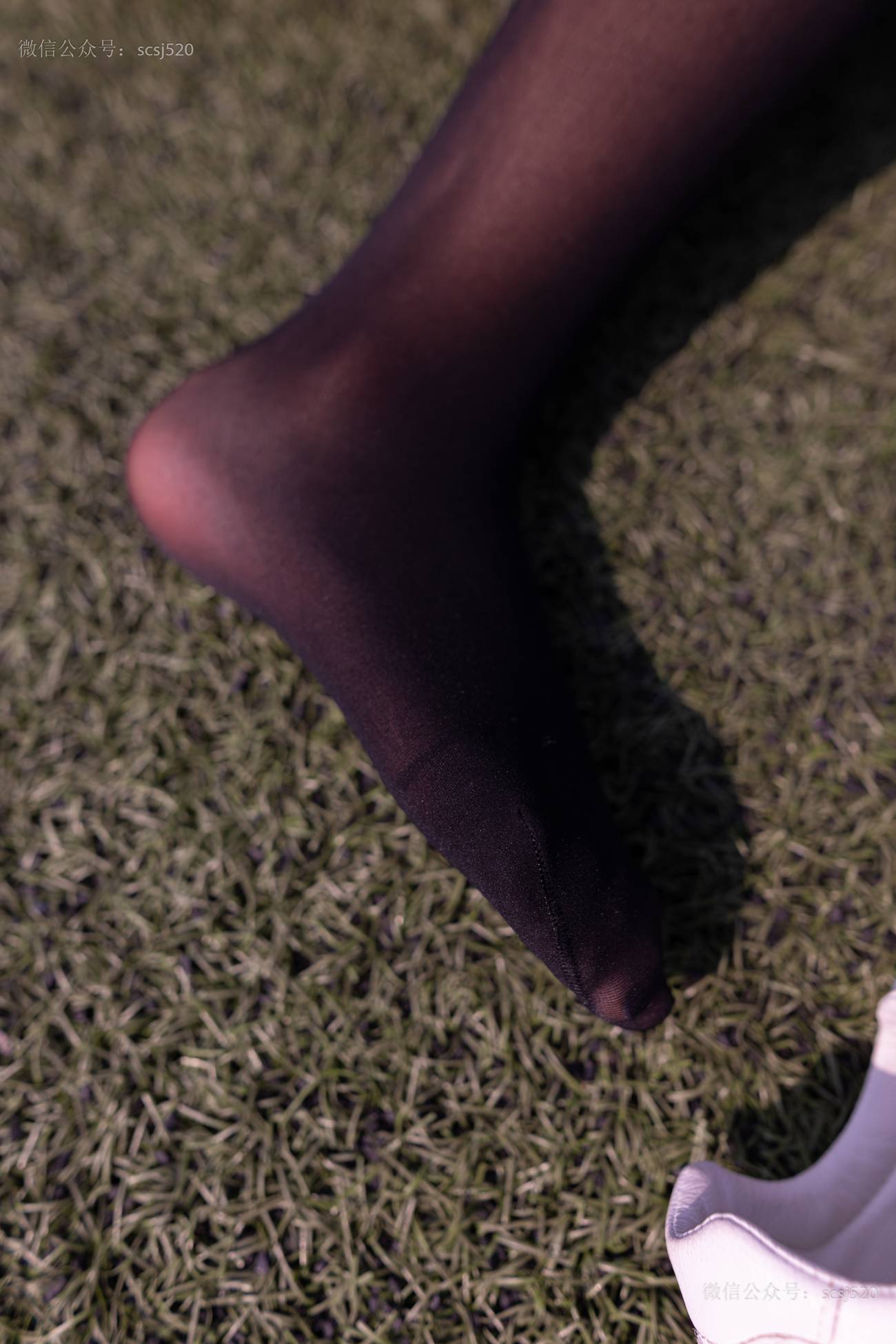 图片[22]-[LSS山茶摄影]NO.252 丝袜穿搭95[94P] – 速更版-美库