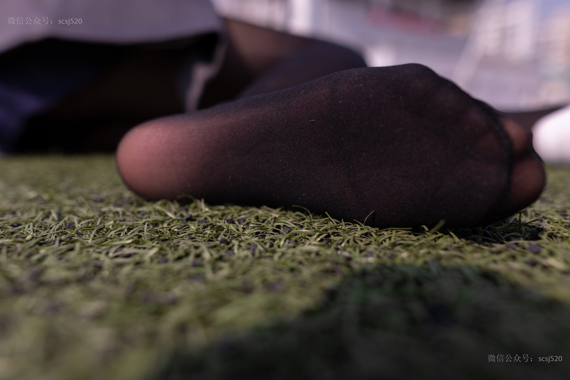 图片[23]-[LSS山茶摄影]NO.252 丝袜穿搭95[94P] – 速更版-美库