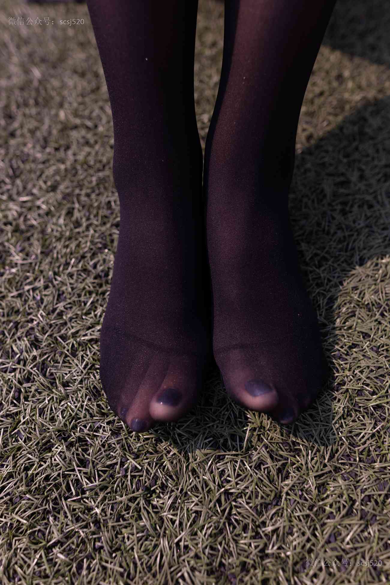 图片[31]-[LSS山茶摄影]NO.252 丝袜穿搭95[94P] – 速更版-美库