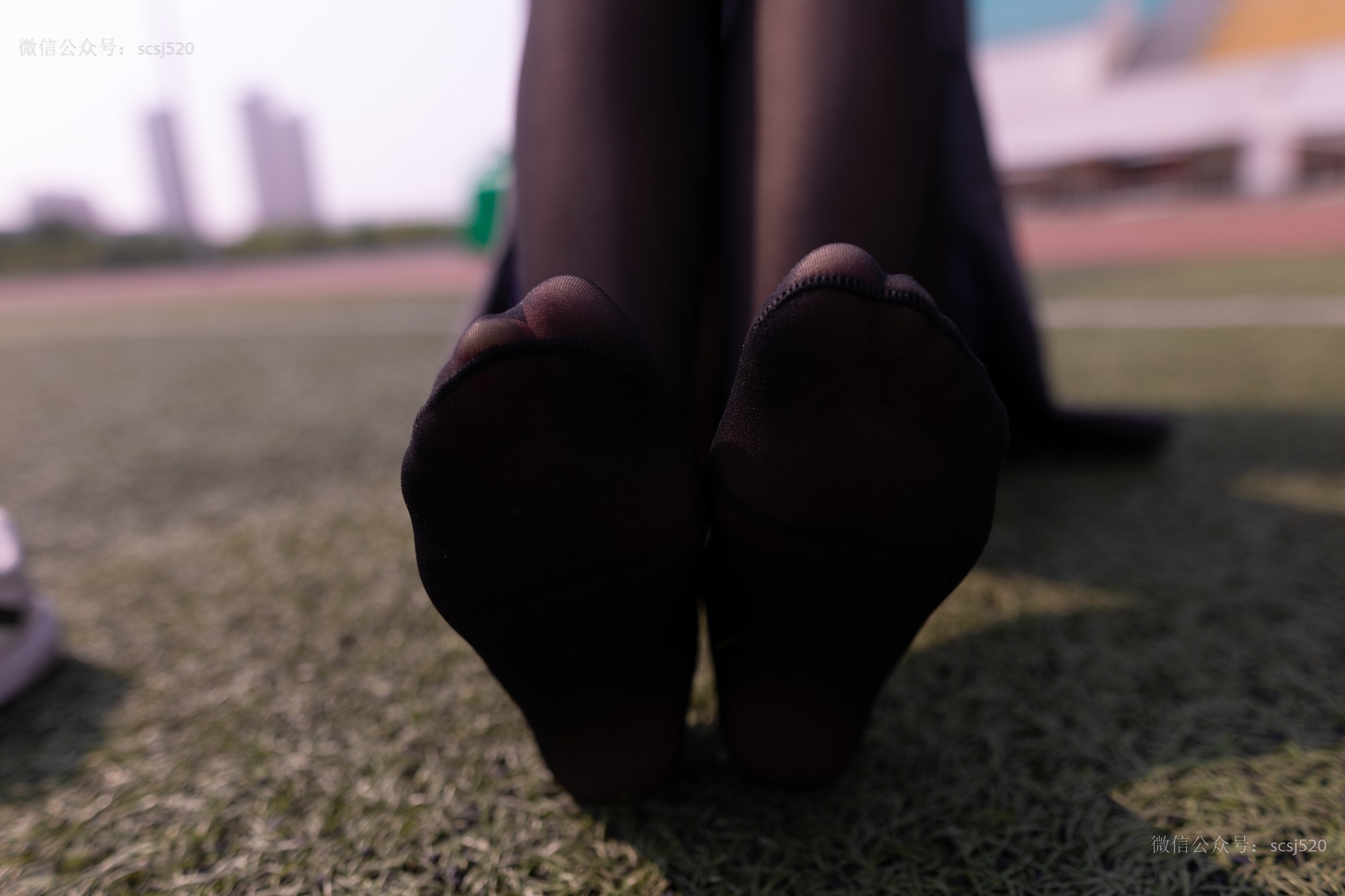 图片[33]-[LSS山茶摄影]NO.252 丝袜穿搭95[94P] – 速更版-美库