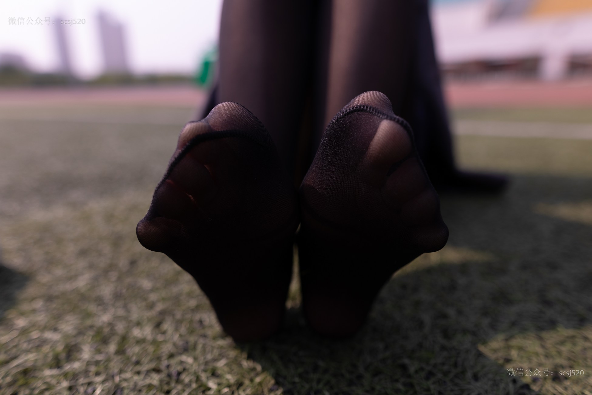 图片[34]-[LSS山茶摄影]NO.252 丝袜穿搭95[94P] – 速更版-美库