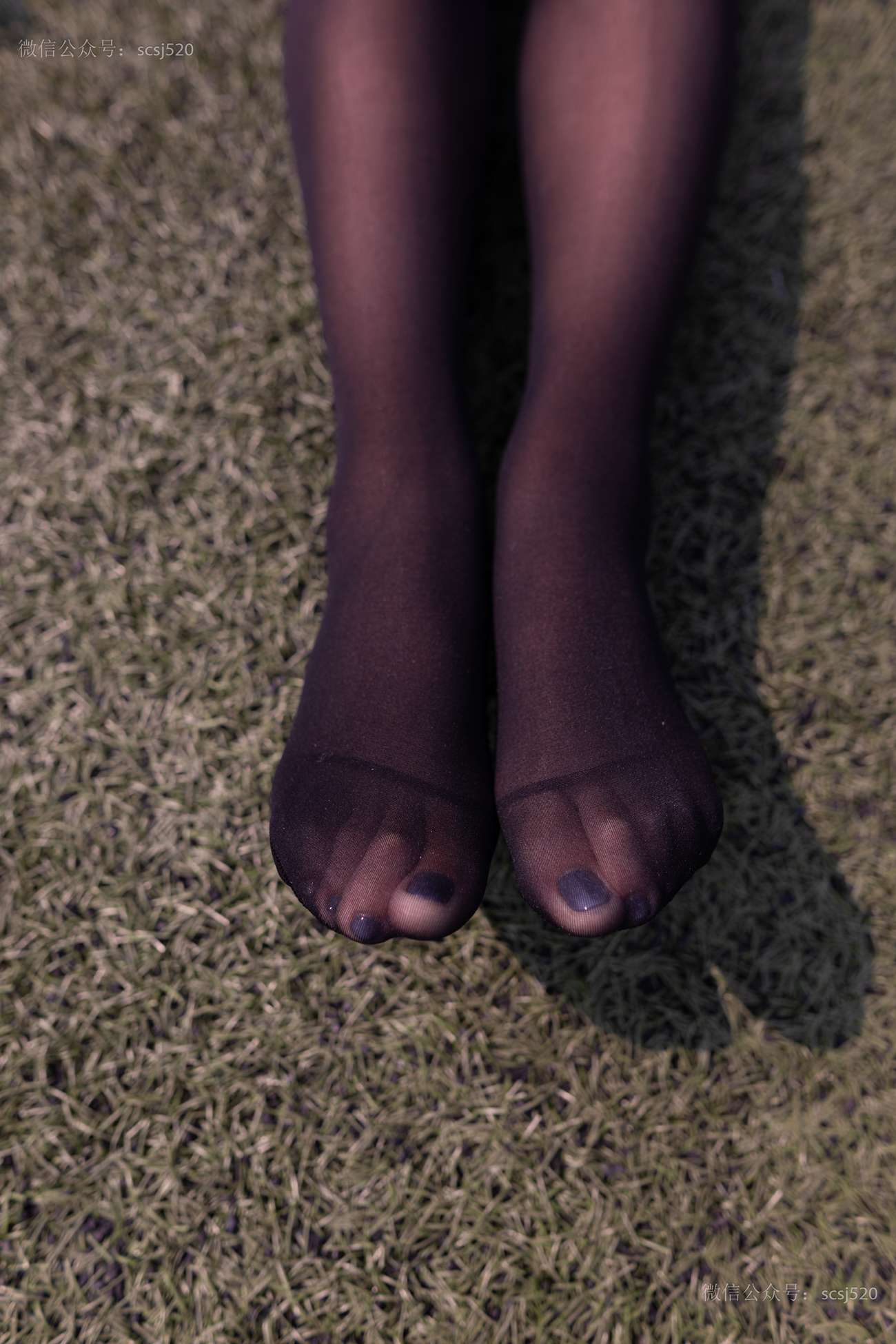 图片[45]-[LSS山茶摄影]NO.252 丝袜穿搭95[94P] – 速更版-美库