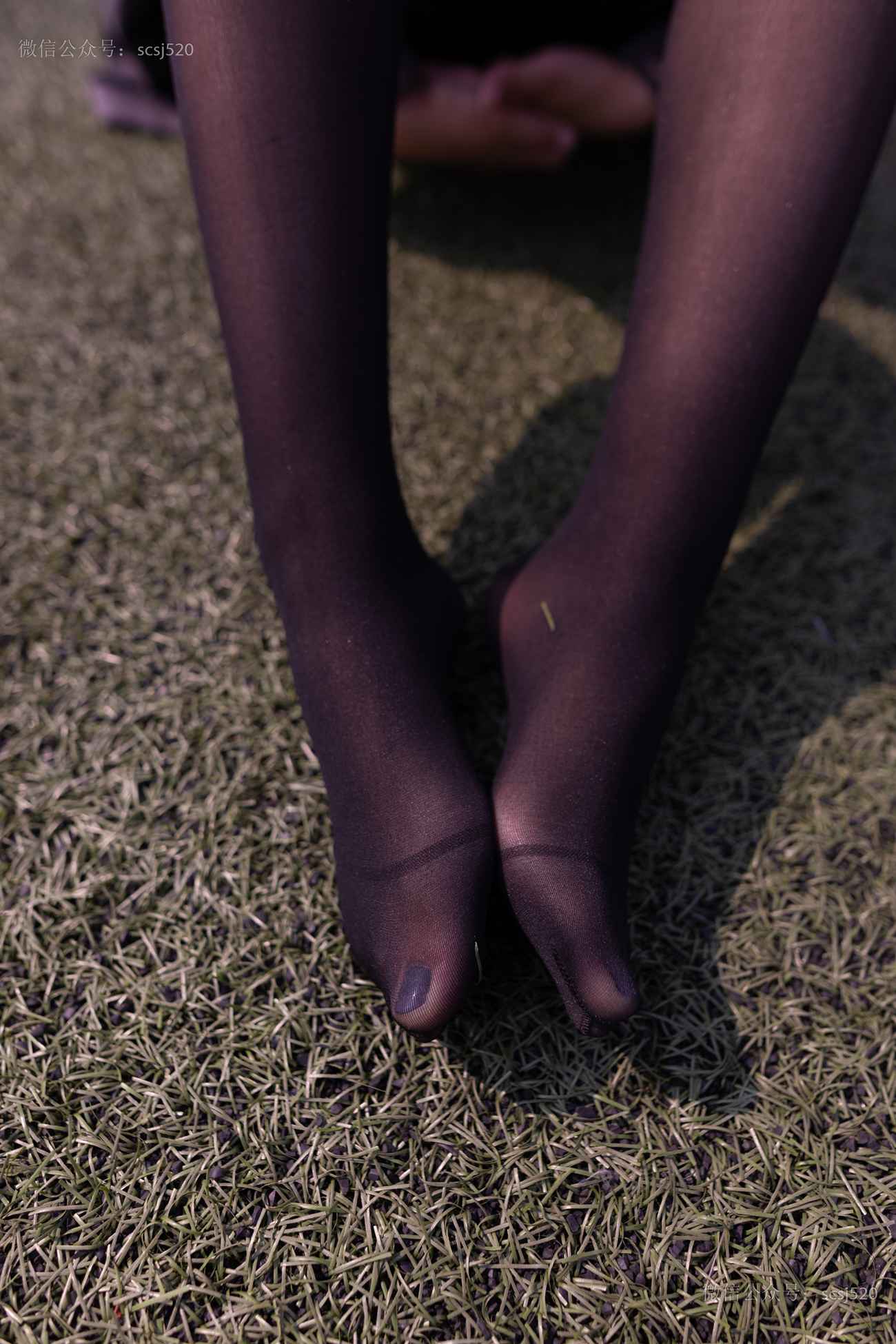 图片[55]-[LSS山茶摄影]NO.252 丝袜穿搭95[94P] – 速更版-美库