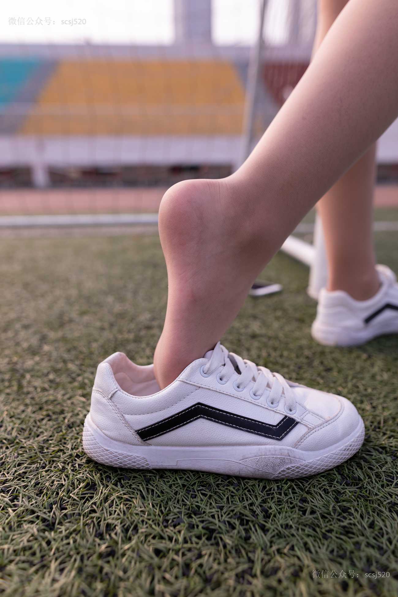 图片[11]-[LSS山茶摄影]NO.255 丝袜穿搭98[80P] – 速更版-美库