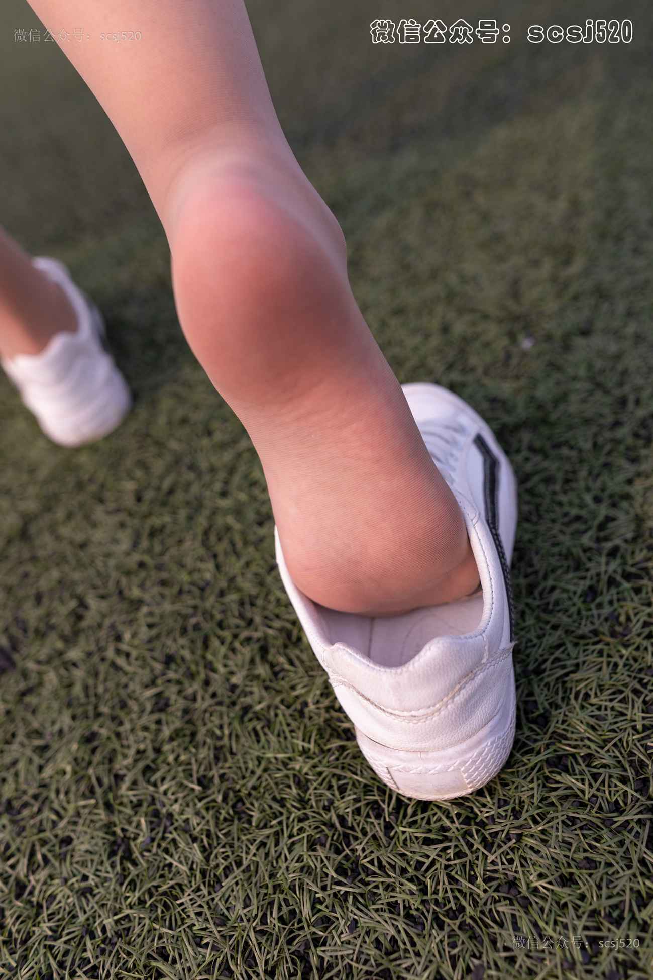 图片[12]-[LSS山茶摄影]NO.255 丝袜穿搭98[80P] – 速更版-美库