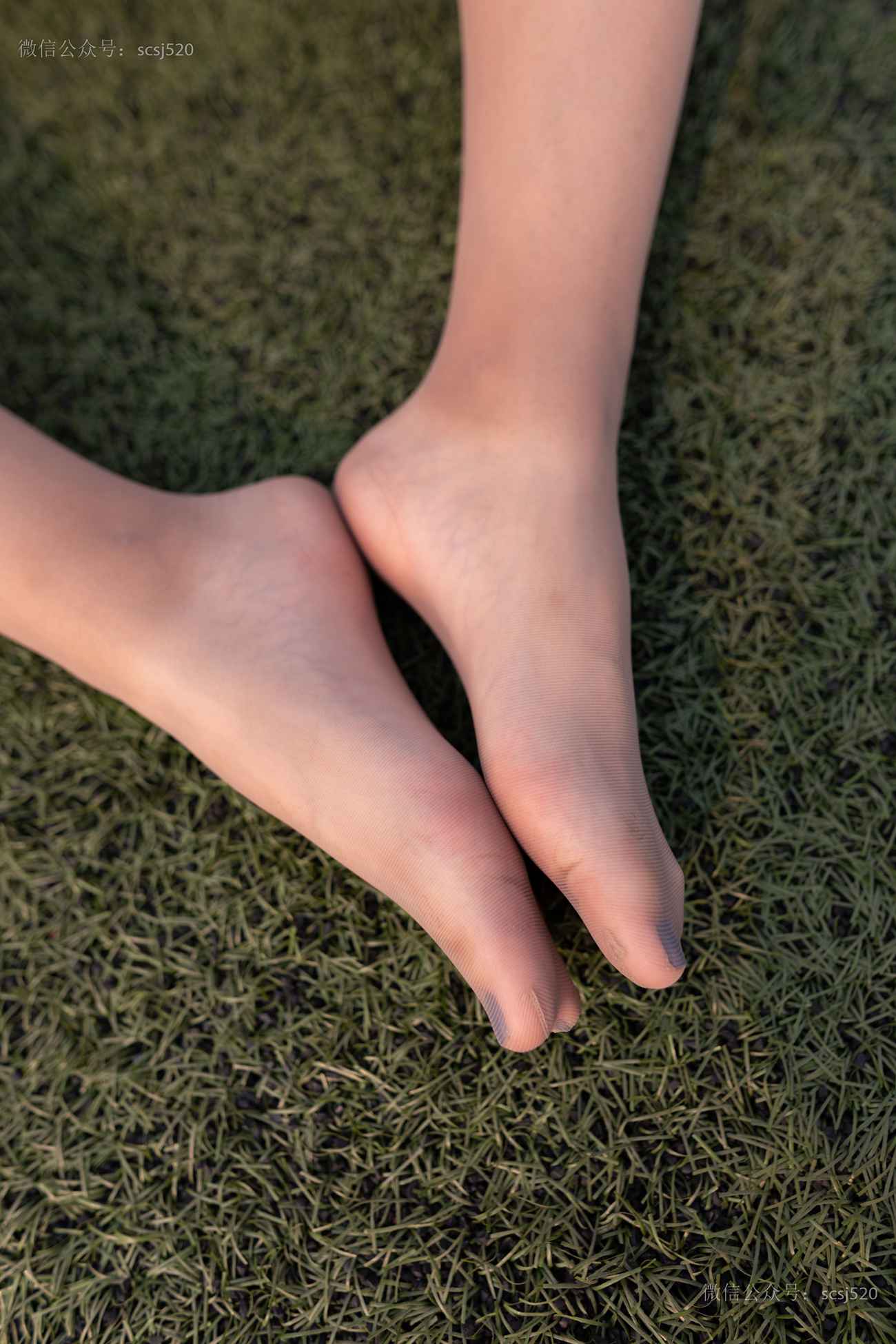 图片[35]-[LSS山茶摄影]NO.255 丝袜穿搭98[80P] – 速更版-美库