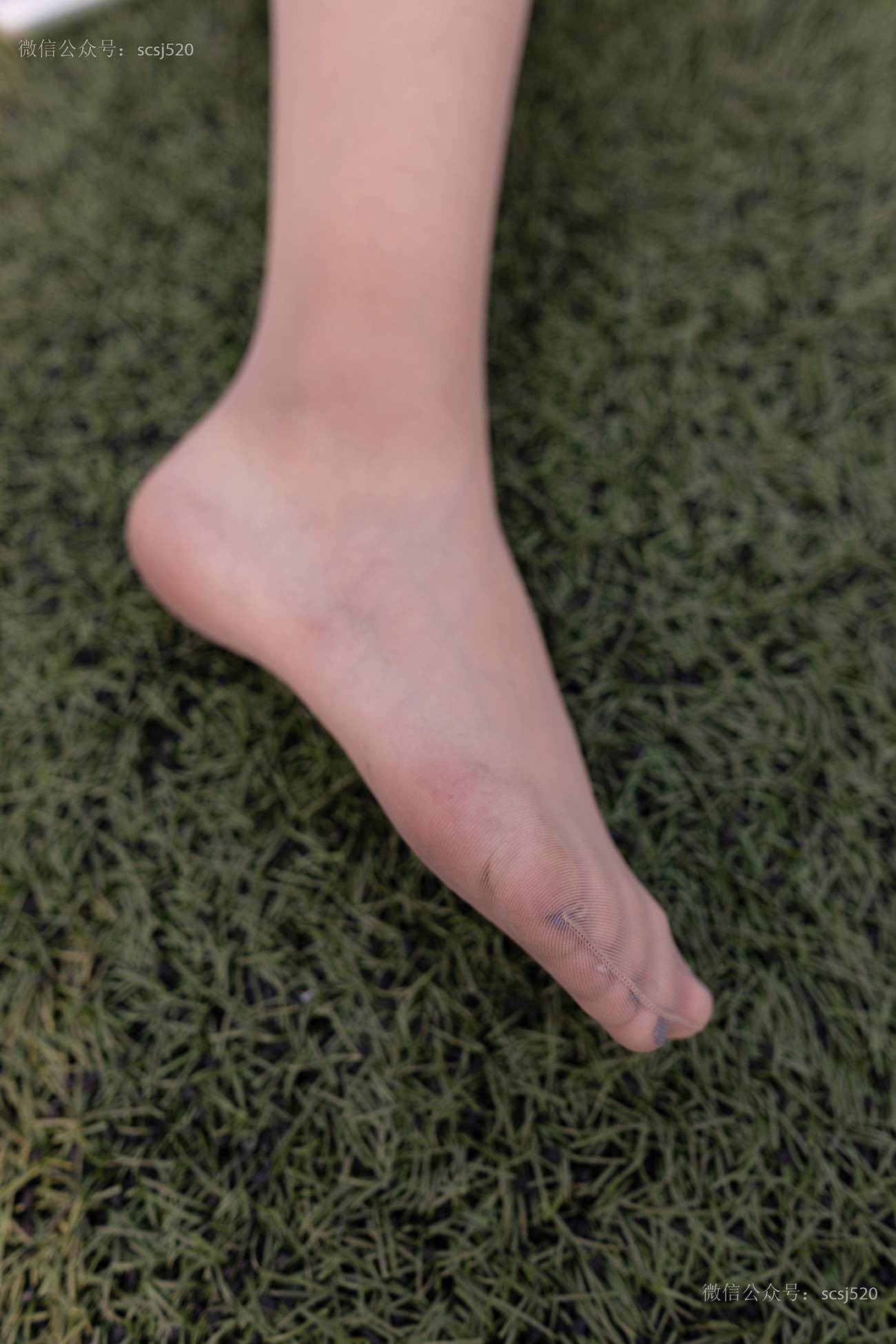 图片[44]-[LSS山茶摄影]NO.255 丝袜穿搭98[80P] – 速更版-美库