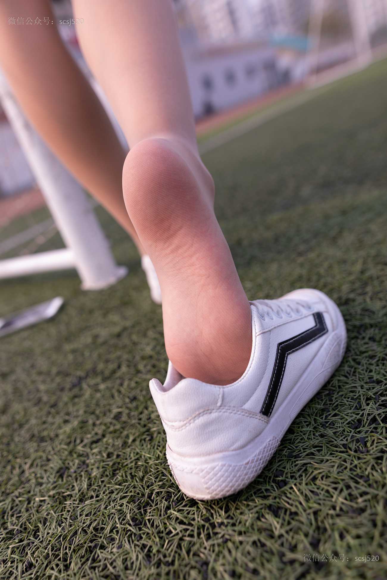 图片[70]-[LSS山茶摄影]NO.255 丝袜穿搭98[80P] – 速更版-美库