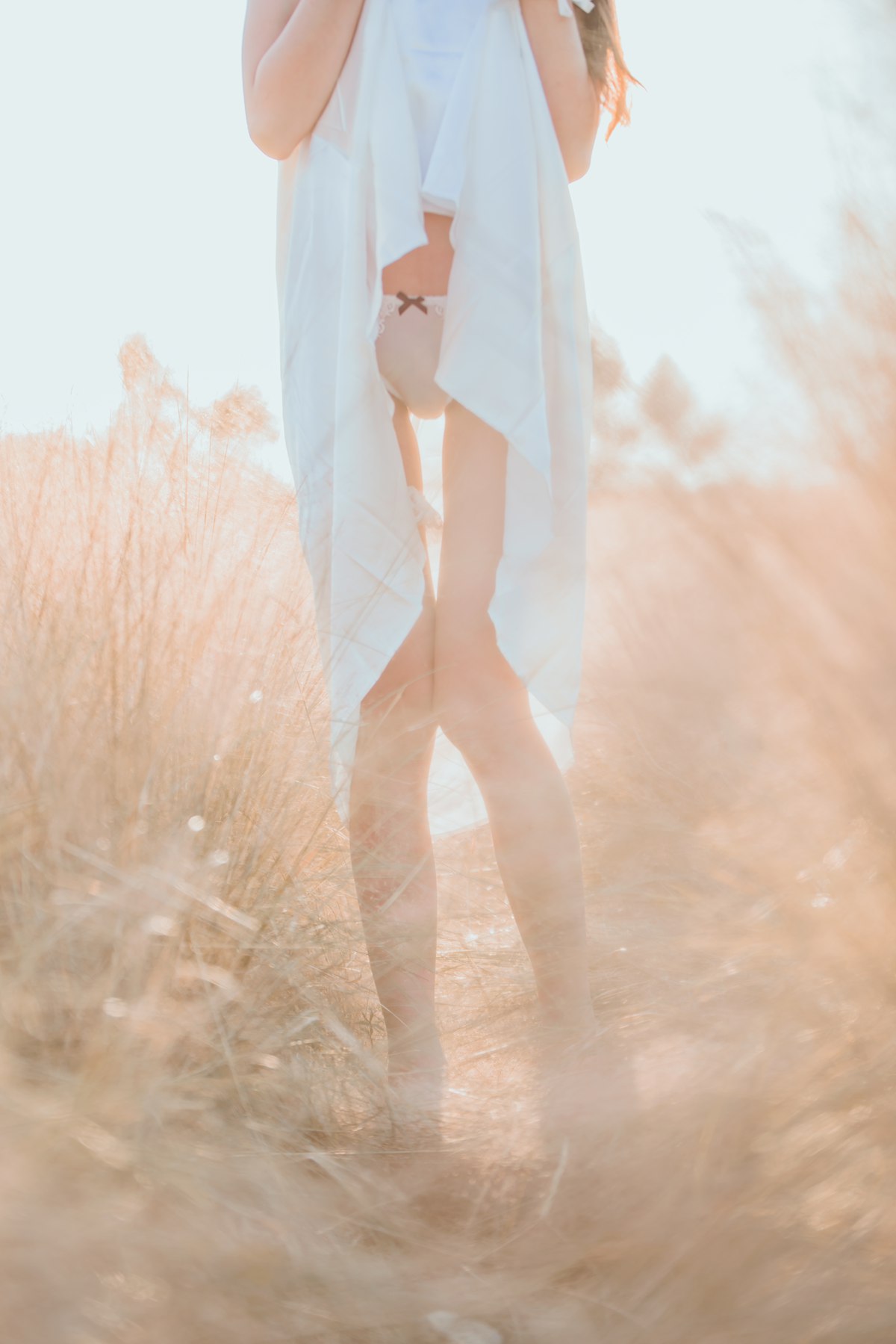 图片[26]-桜桃喵 冬眠 麦田白裙下 [45P] – 速更版-美库