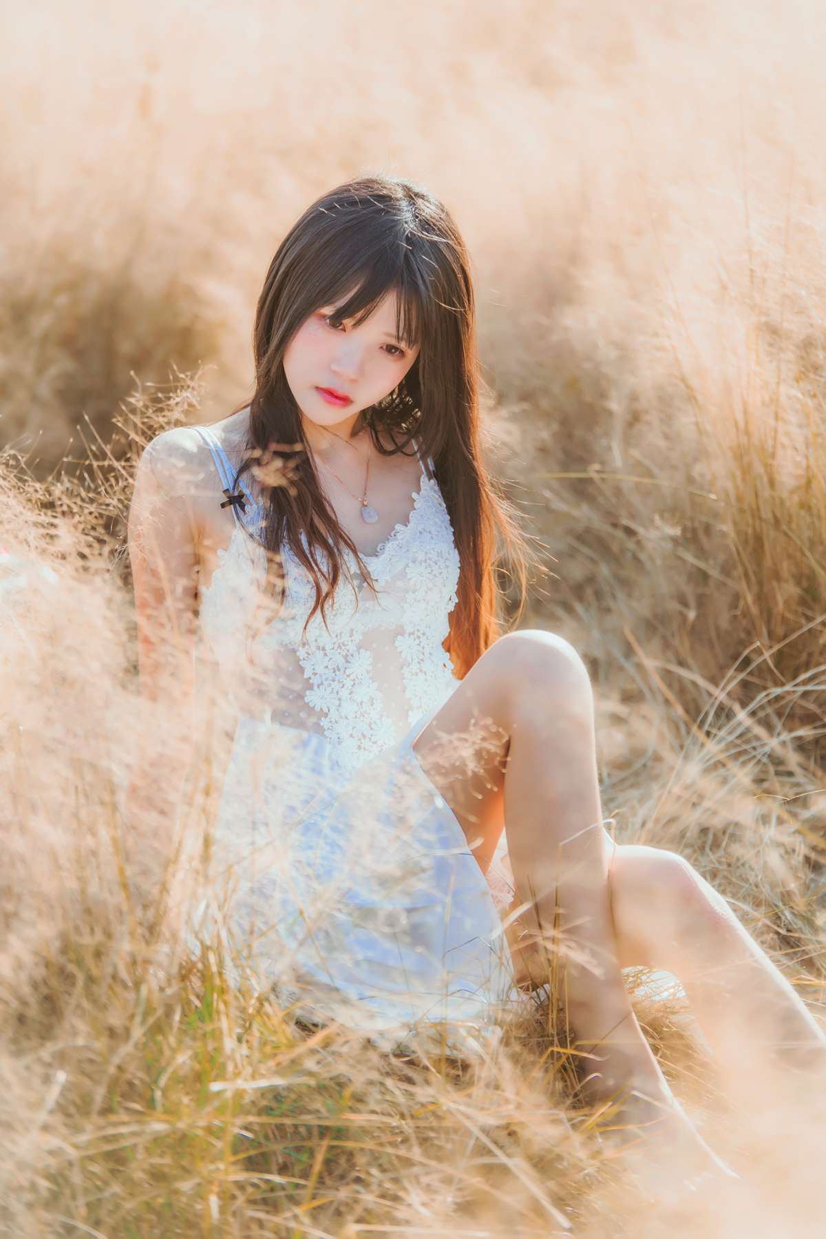 图片[46]-桜桃喵 冬眠 麦田白裙下 [45P] – 速更版-美库