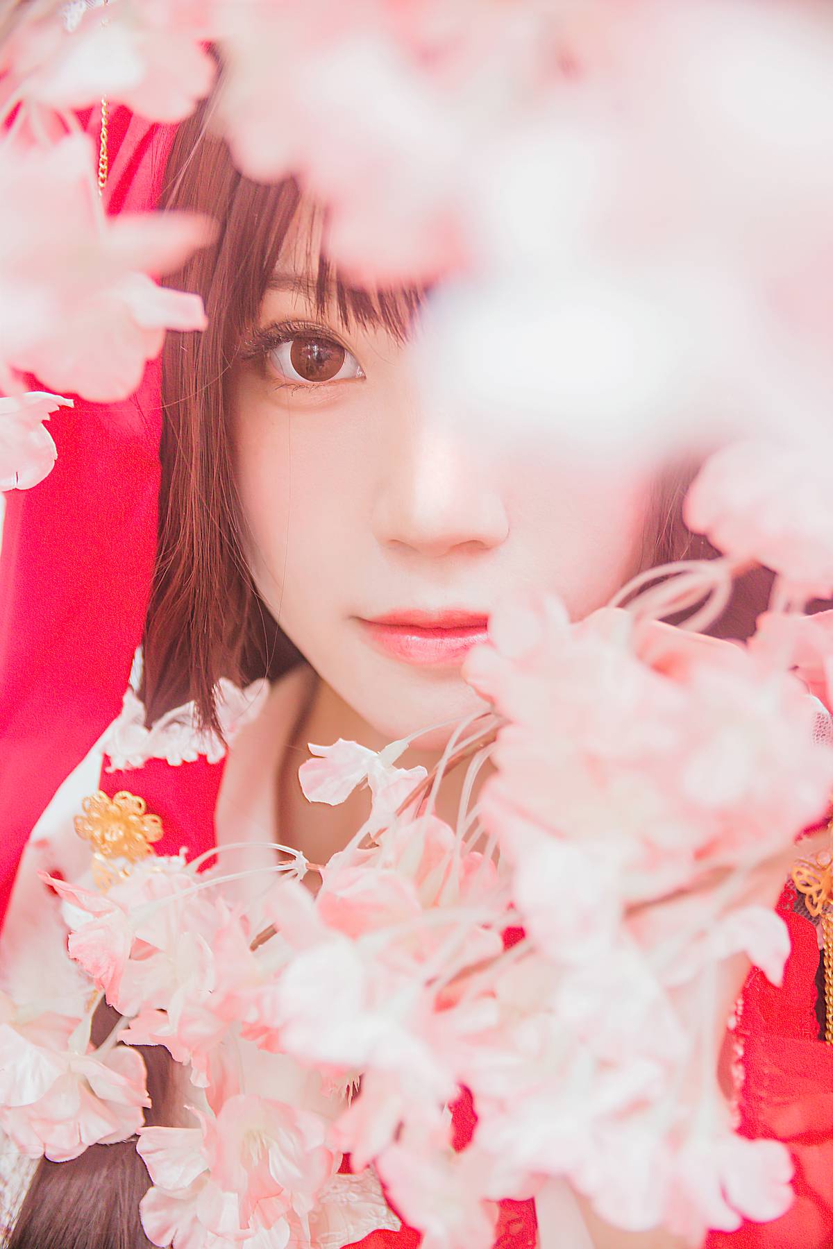 图片[23]-桜桃喵 灵梦 [45P] – 速更版-美库