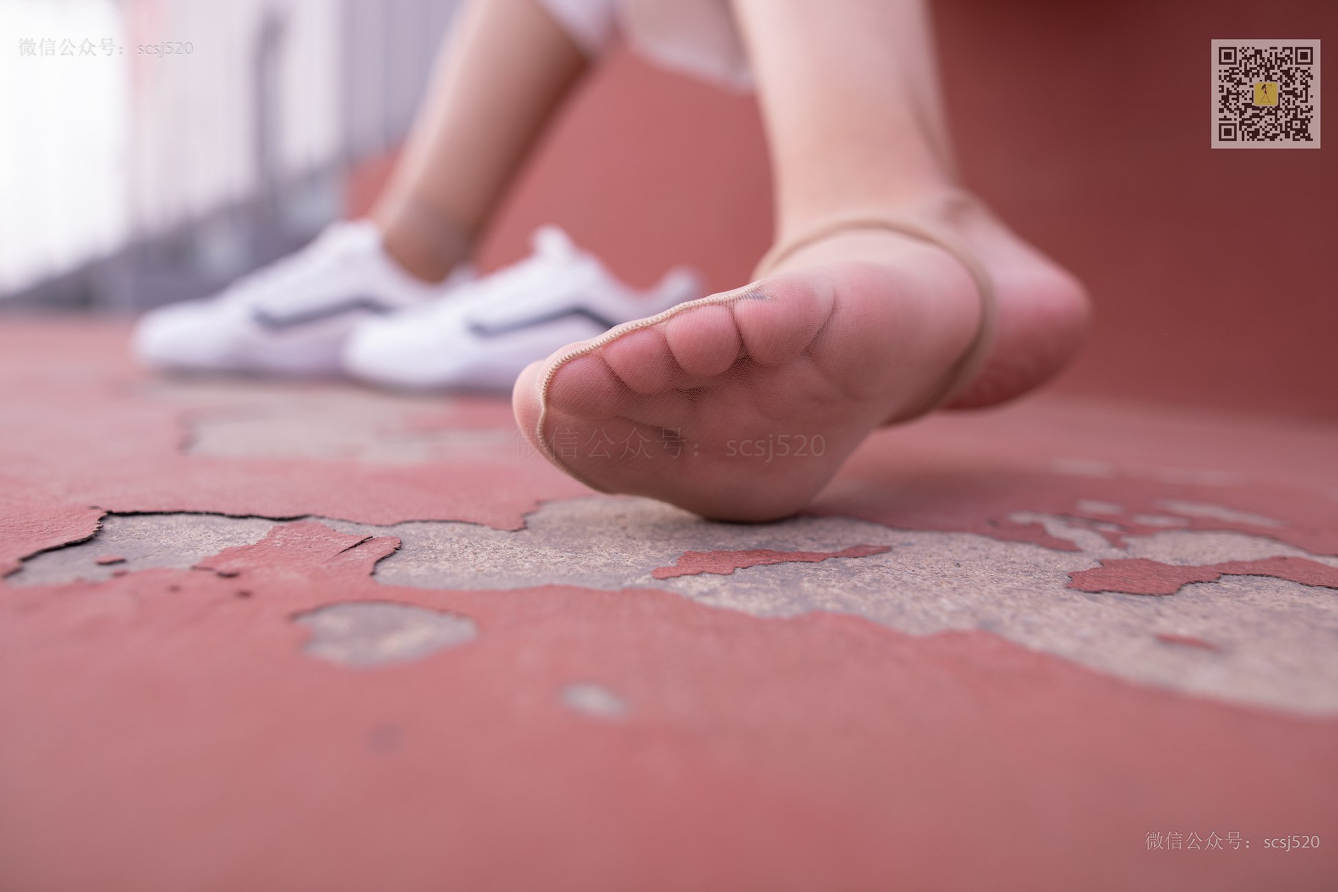 图片[23]-[LSS山茶摄影]NO.267 丝袜穿搭110[94P] – 速更版-美库