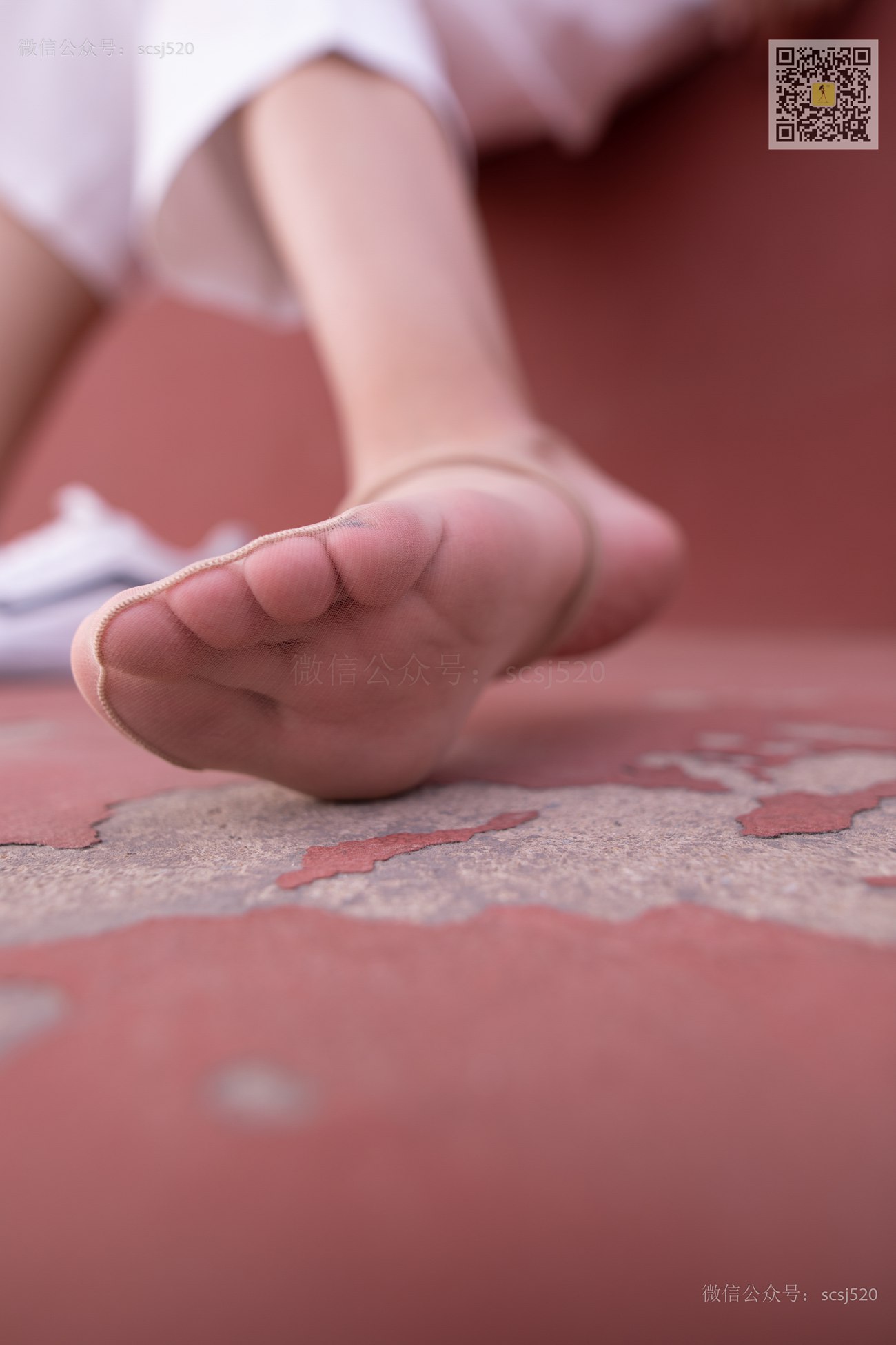 图片[24]-[LSS山茶摄影]NO.267 丝袜穿搭110[94P] – 速更版-美库