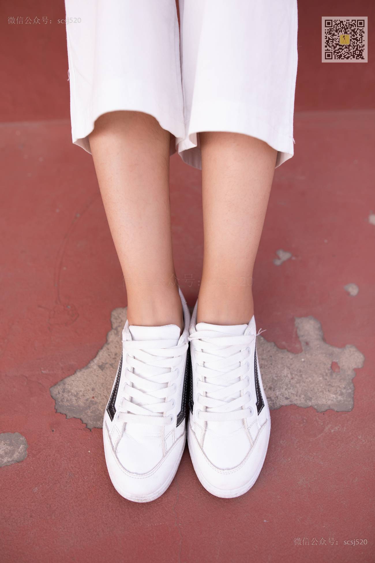 图片[88]-[LSS山茶摄影]NO.267 丝袜穿搭110[94P] – 速更版-美库