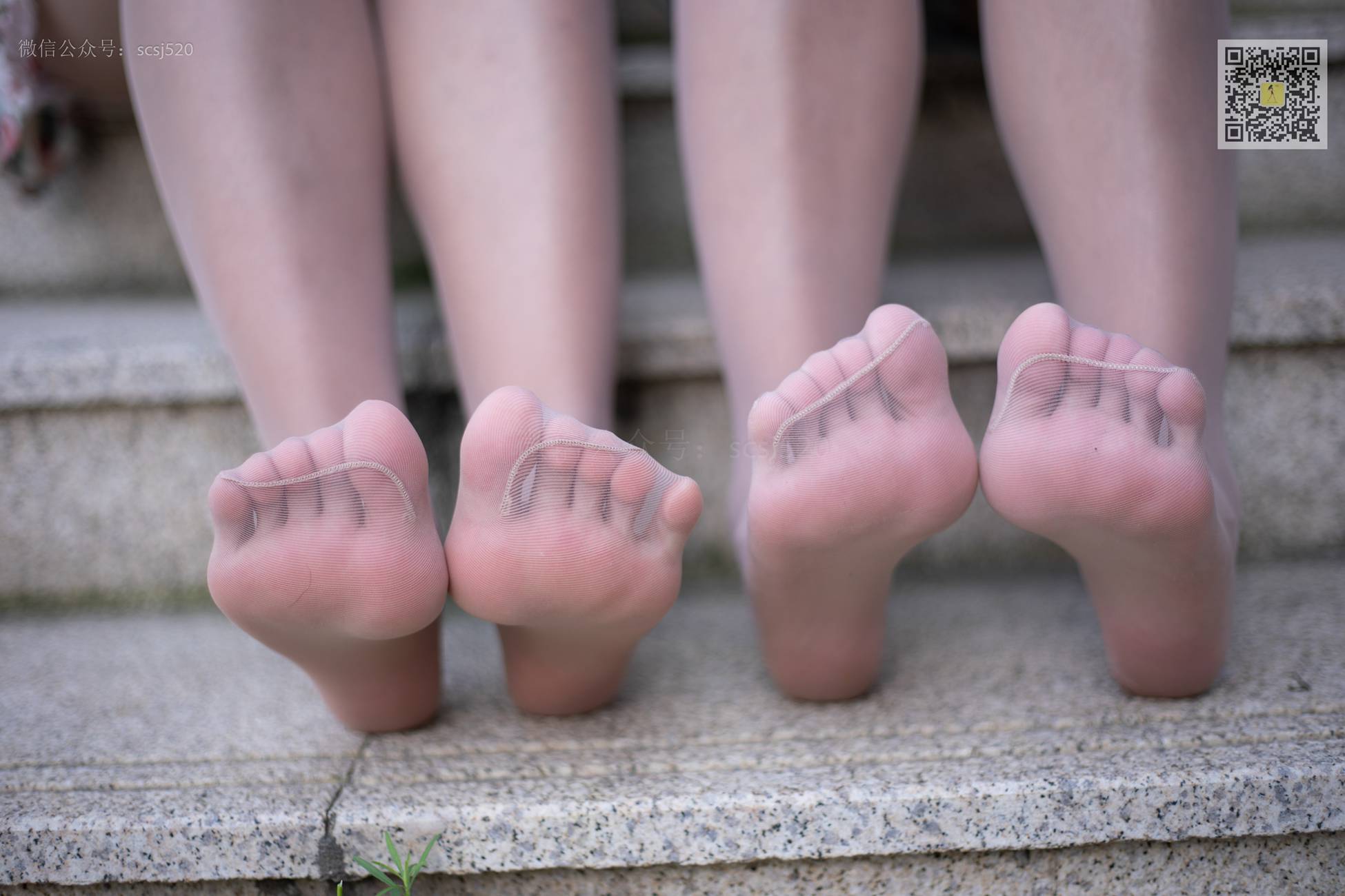 图片[16]-[LSS山茶摄影]NO.270 丝袜穿搭113[63P] – 速更版-美库