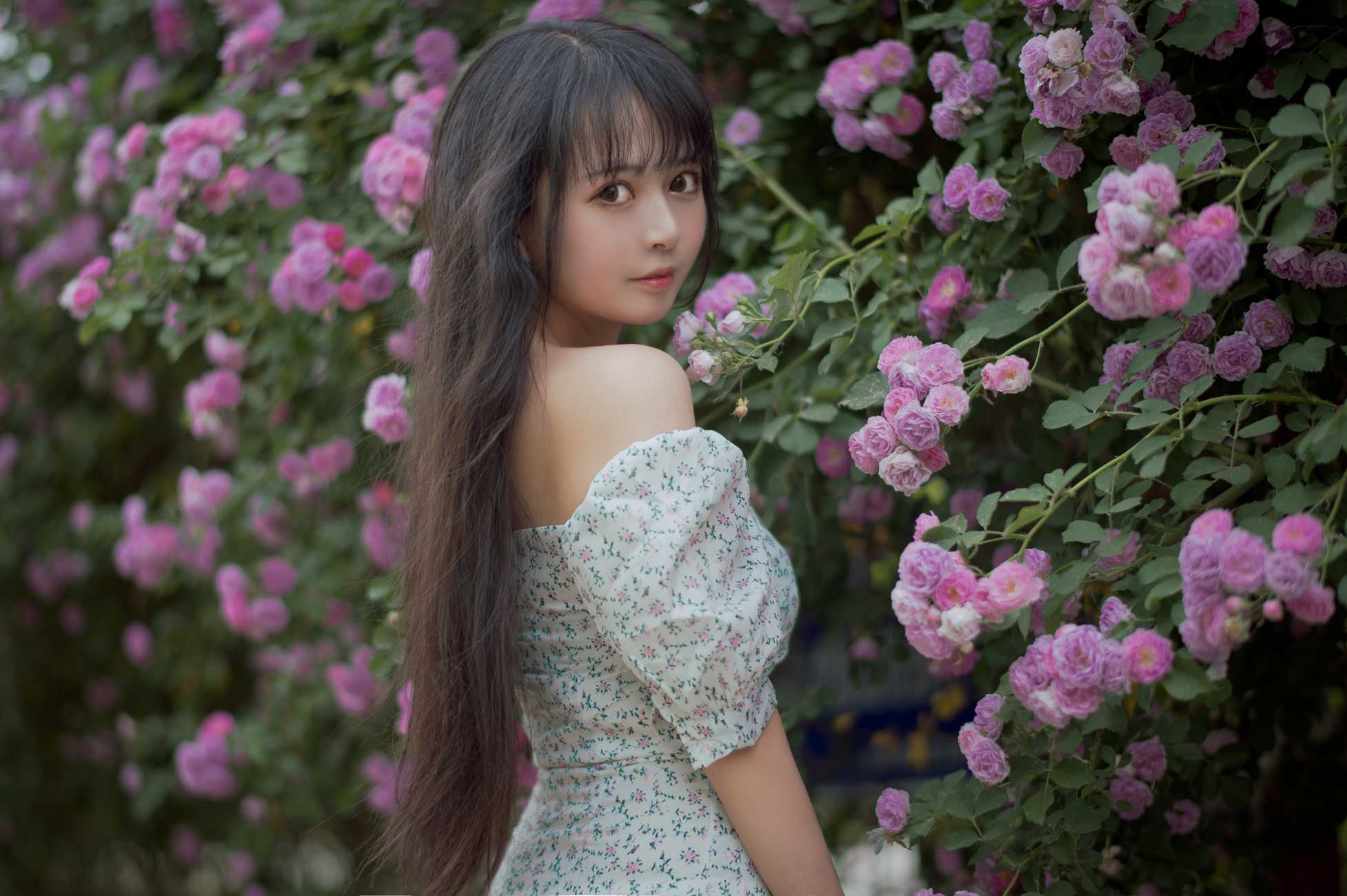 图片[10]-[喵糖映画]VOL.338 蔷薇少女[24P] – 速更版-美库