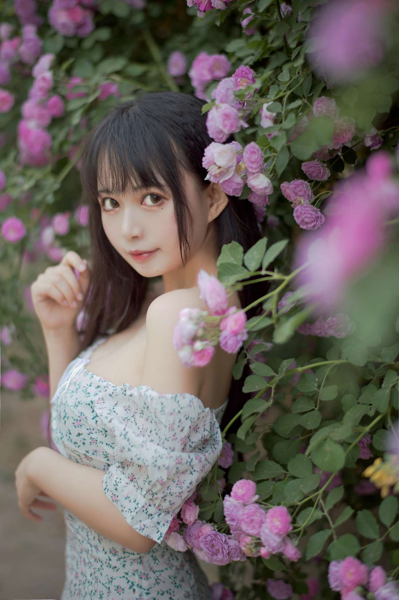 图片[12]-[喵糖映画]VOL.338 蔷薇少女[24P] – 速更版-美库