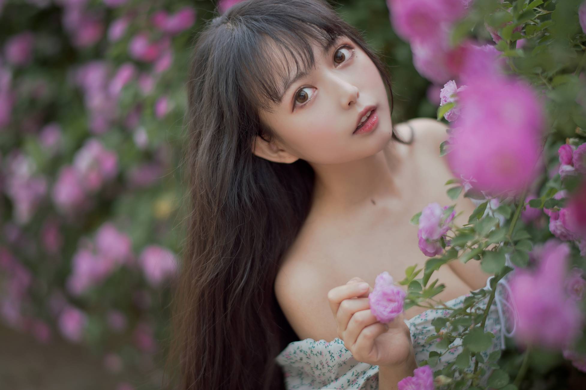 图片[16]-[喵糖映画]VOL.338 蔷薇少女[24P] – 速更版-美库