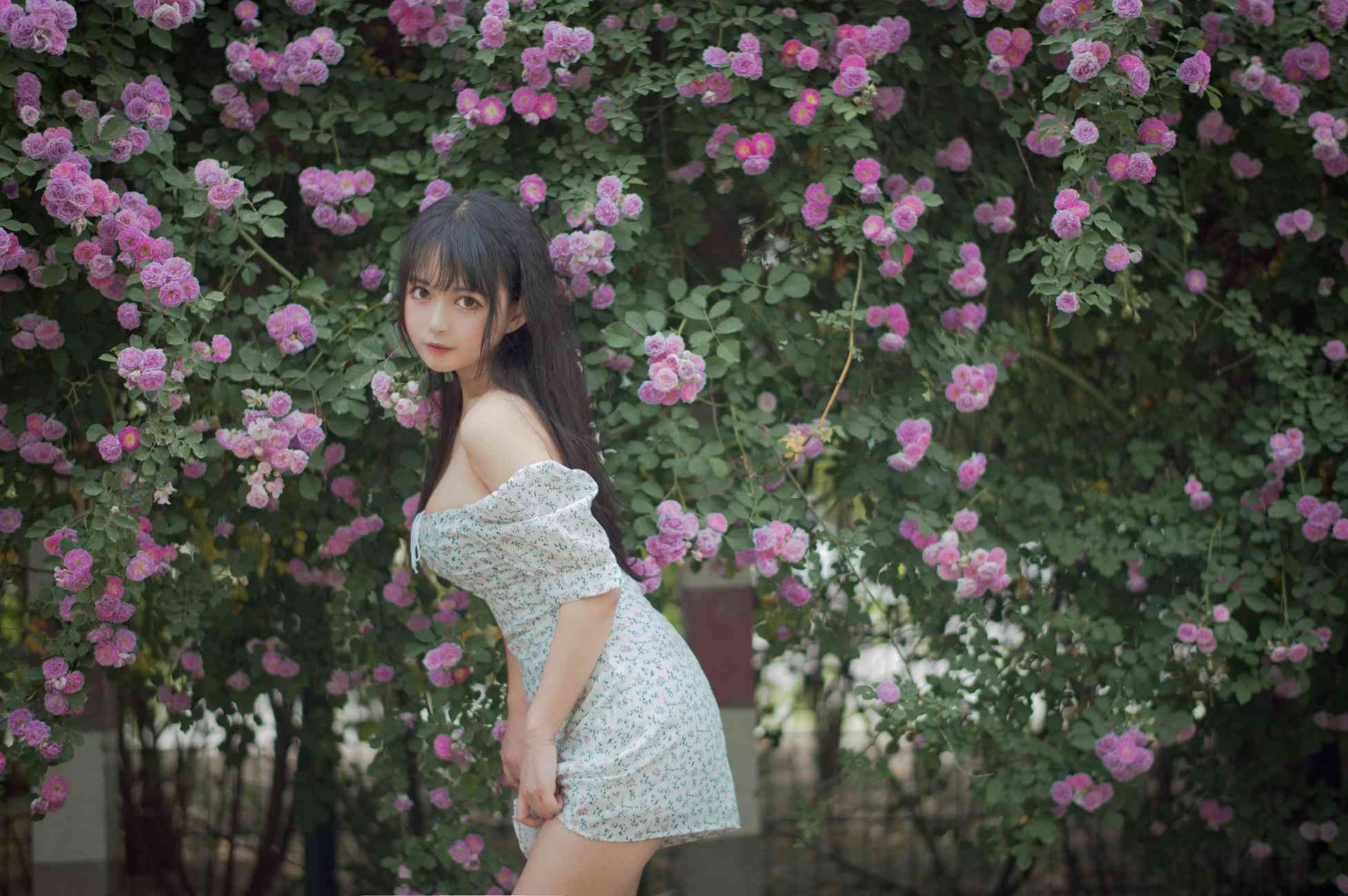 图片[20]-[喵糖映画]VOL.338 蔷薇少女[24P] – 速更版-美库