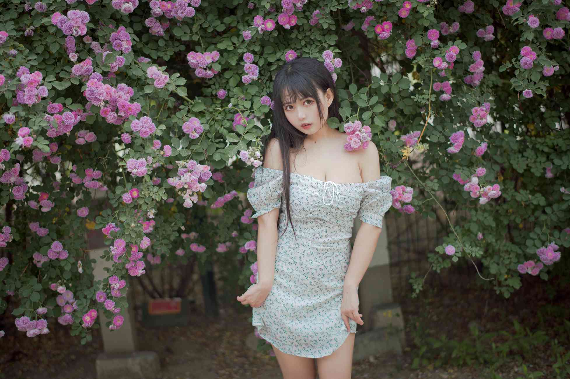 图片[21]-[喵糖映画]VOL.338 蔷薇少女[24P] – 速更版-美库