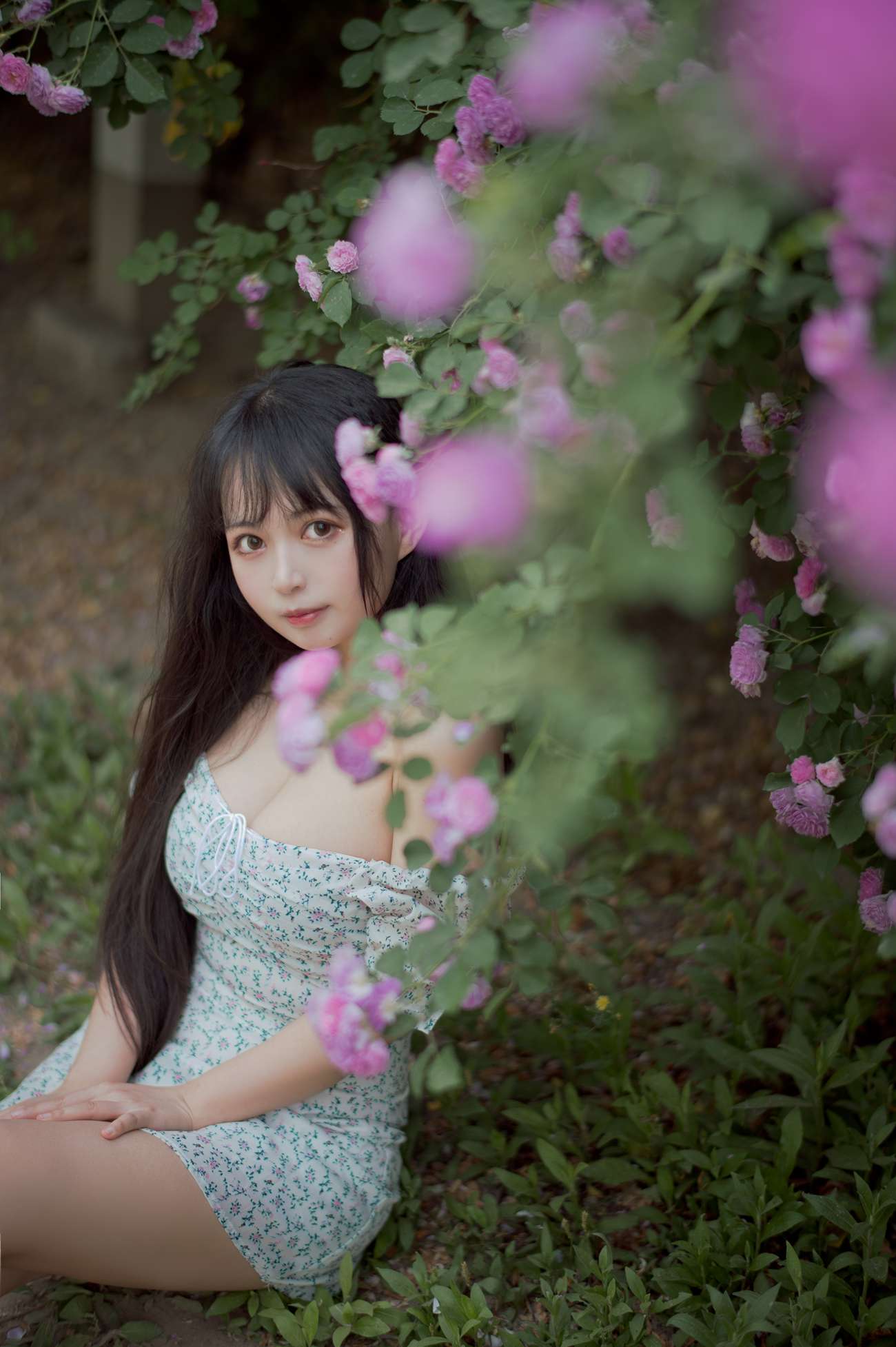 图片[22]-[喵糖映画]VOL.338 蔷薇少女[24P] – 速更版-美库