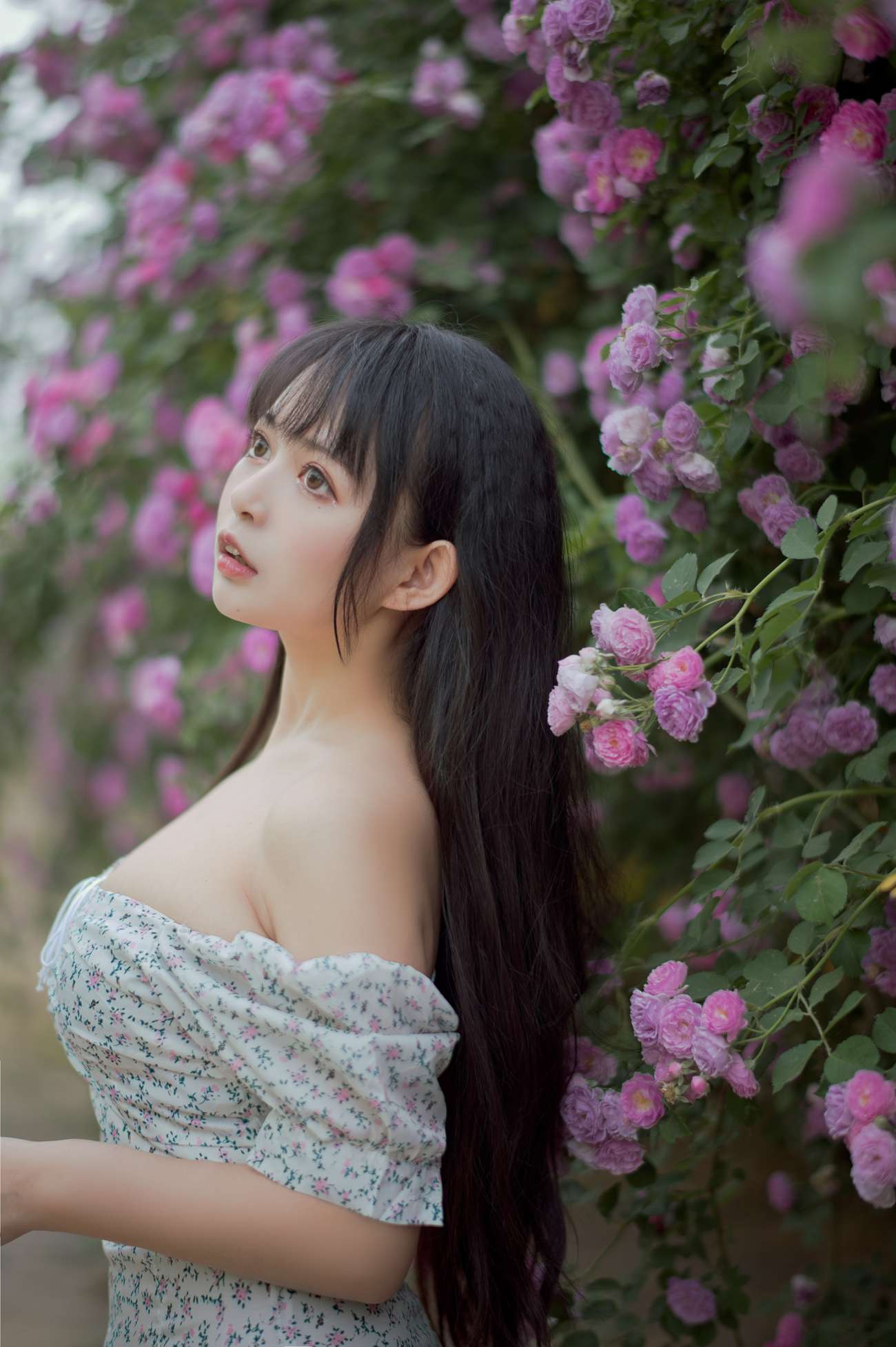 图片[23]-[喵糖映画]VOL.338 蔷薇少女[24P] – 速更版-美库