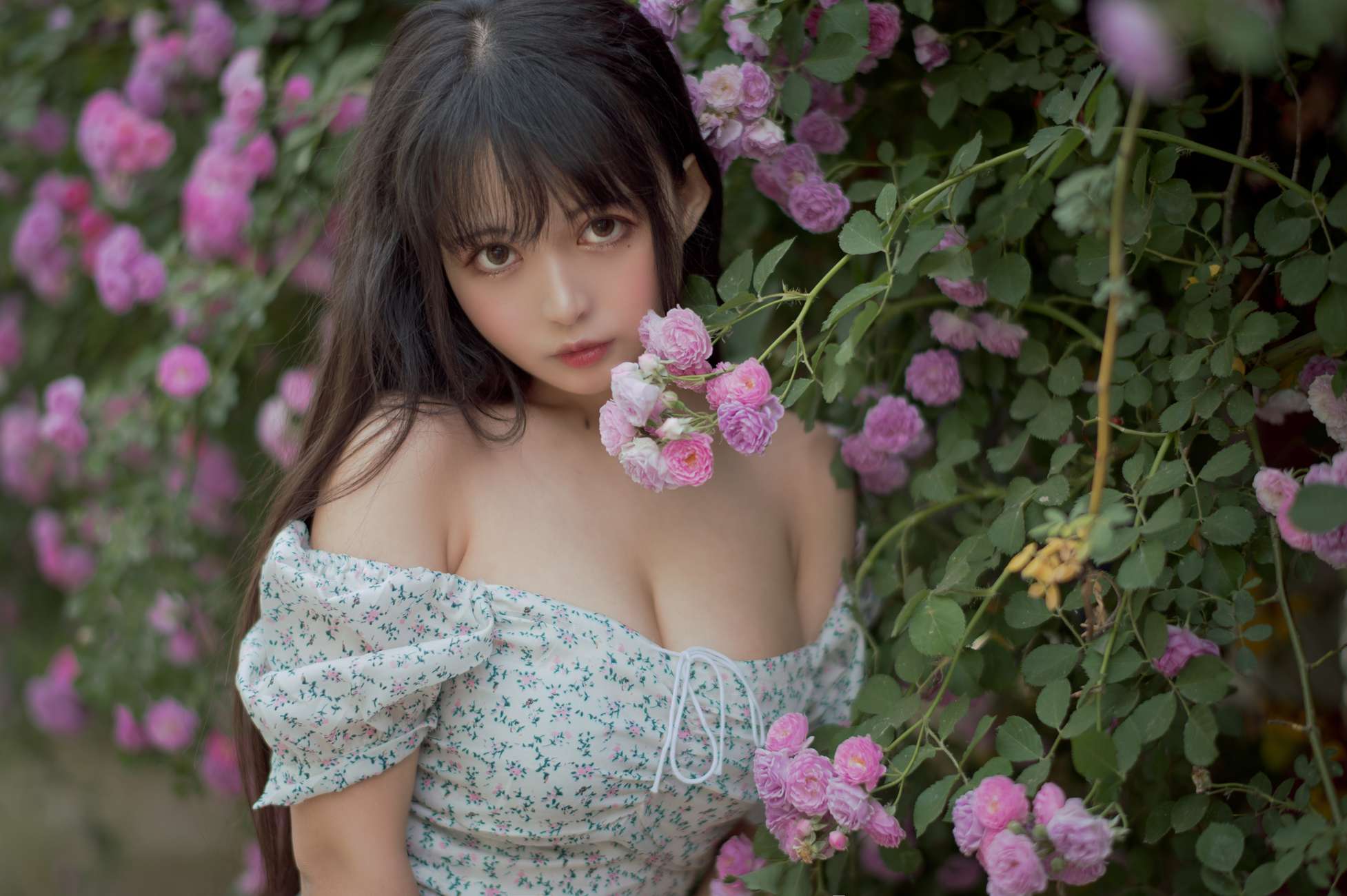 图片[25]-[喵糖映画]VOL.338 蔷薇少女[24P] – 速更版-美库