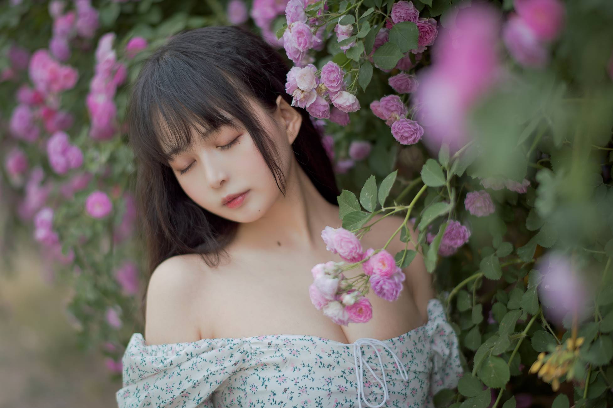 图片[26]-[喵糖映画]VOL.338 蔷薇少女[24P] – 速更版-美库