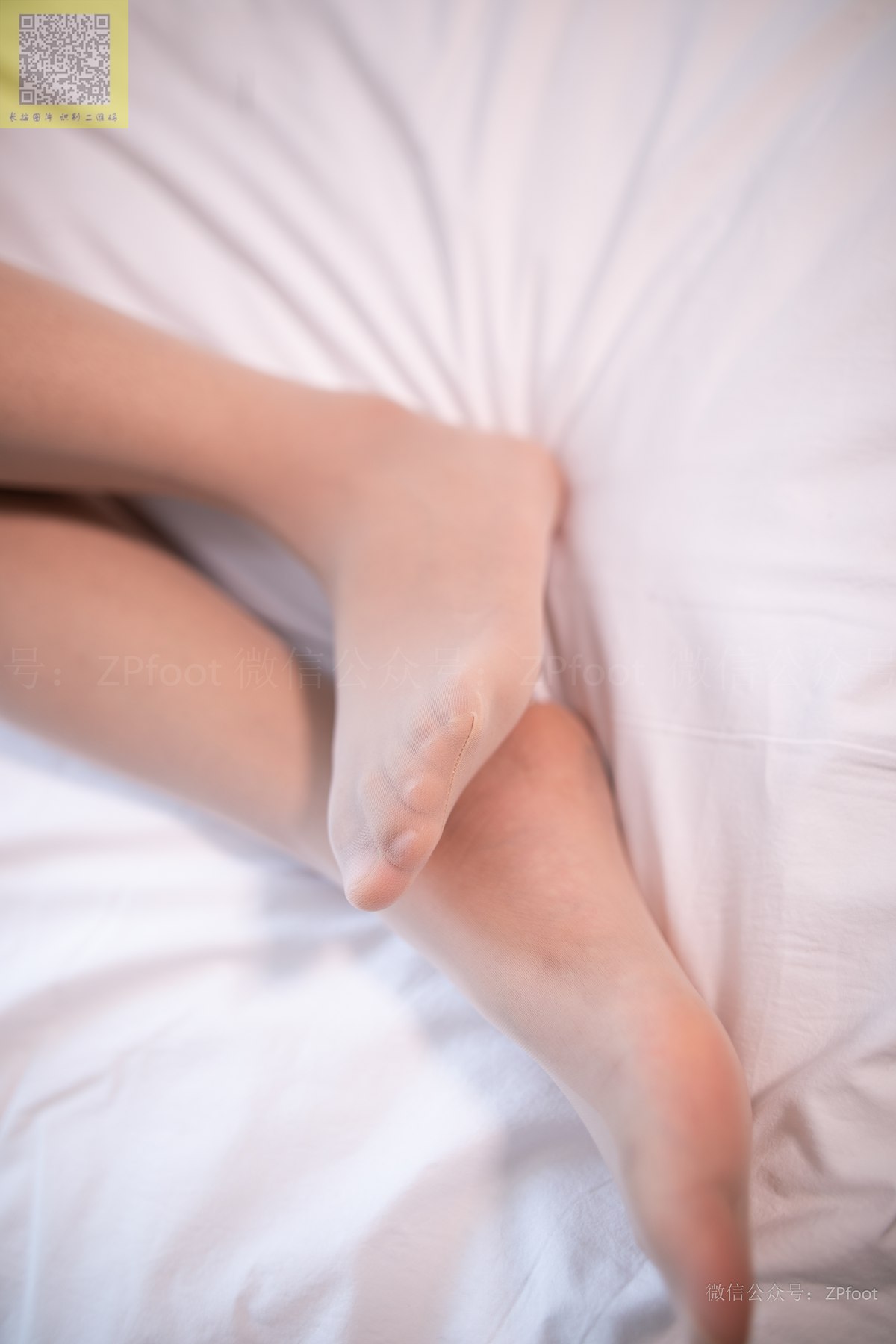 图片[25]-[LSS山茶摄影]NO.209 丝袜穿搭52[67P] – 速更版-美库