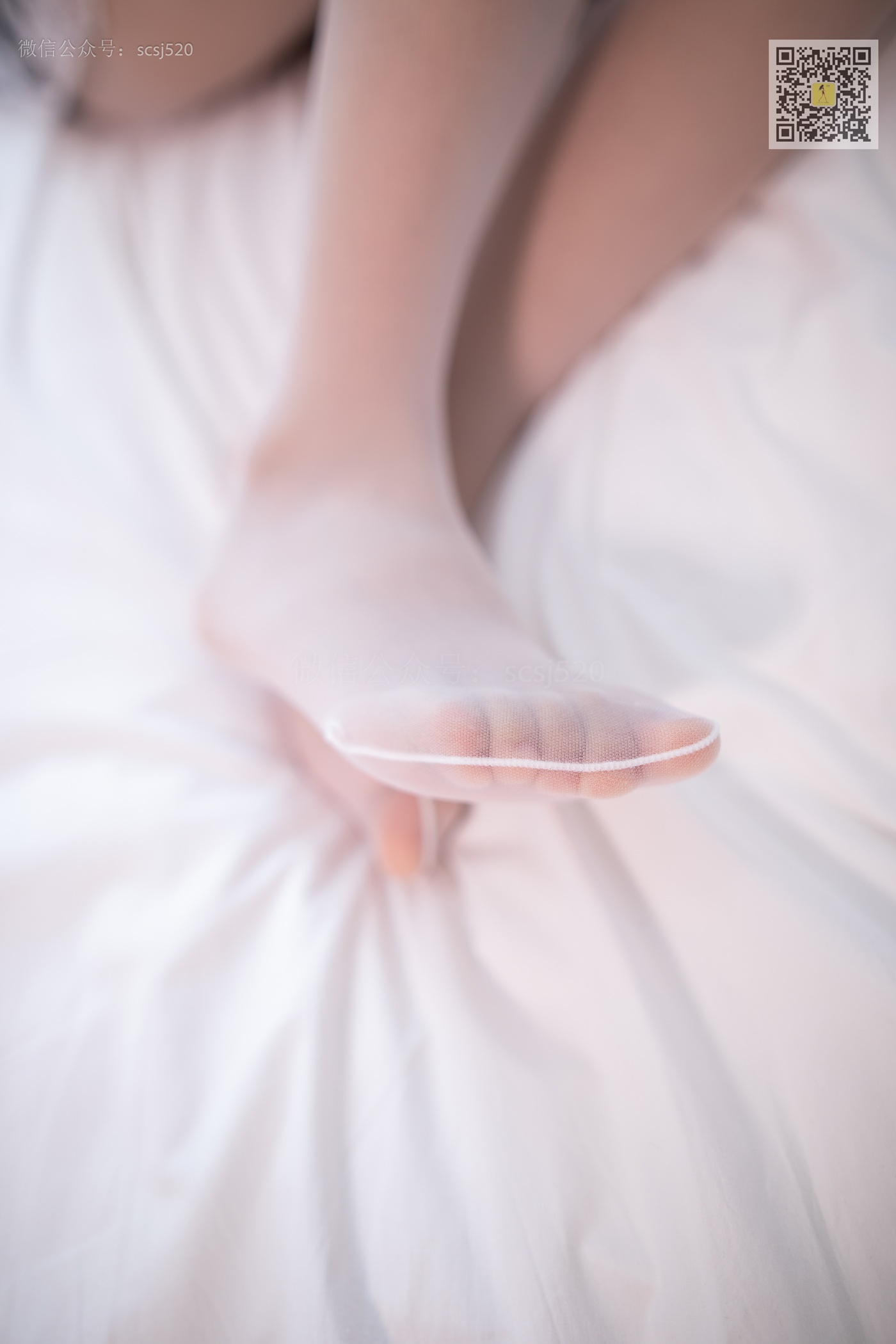 图片[36]-[LSS山茶摄影]NO.275 丝袜穿搭118[64P] – 速更版-美库