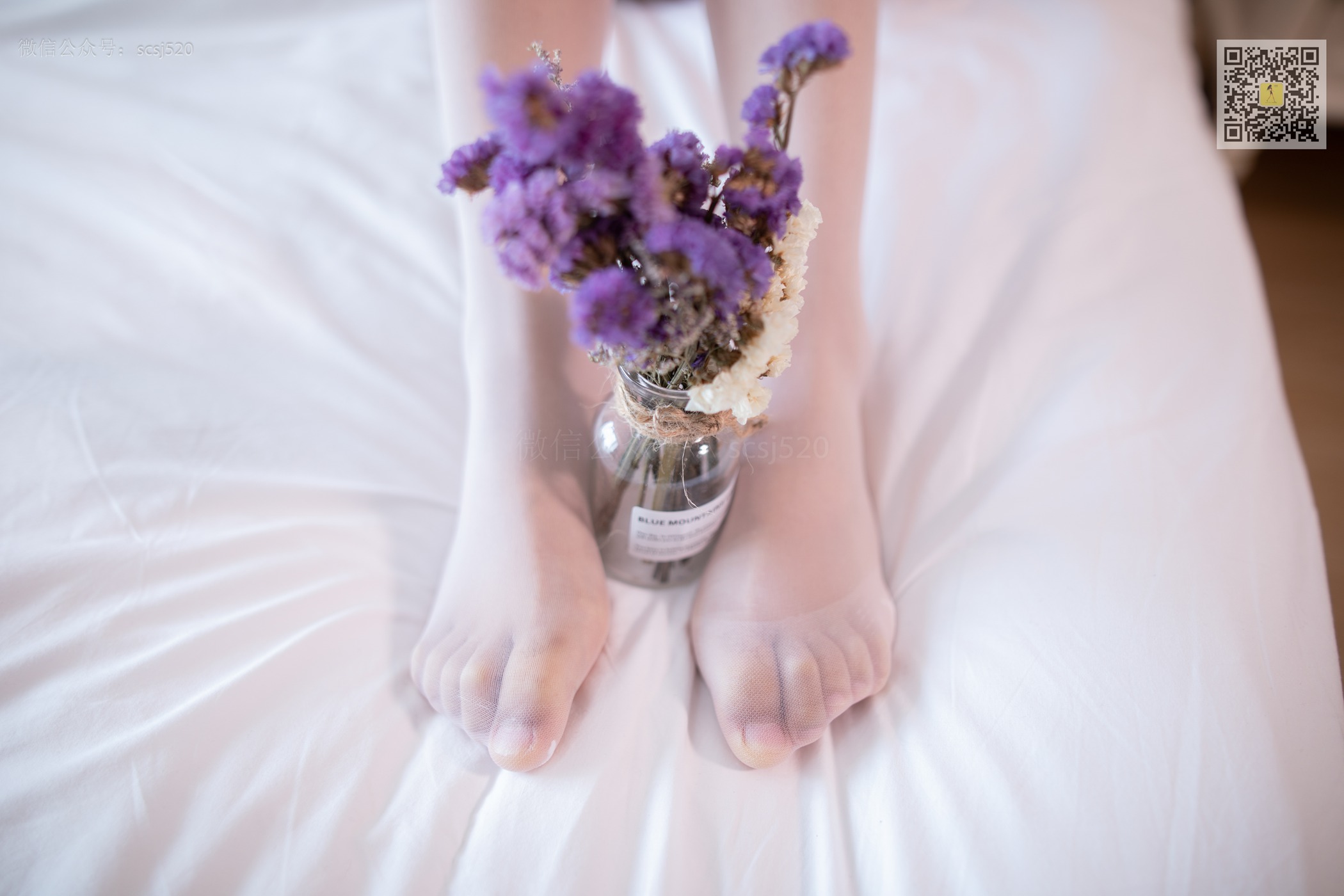 图片[45]-[LSS山茶摄影]NO.275 丝袜穿搭118[64P] – 速更版-美库