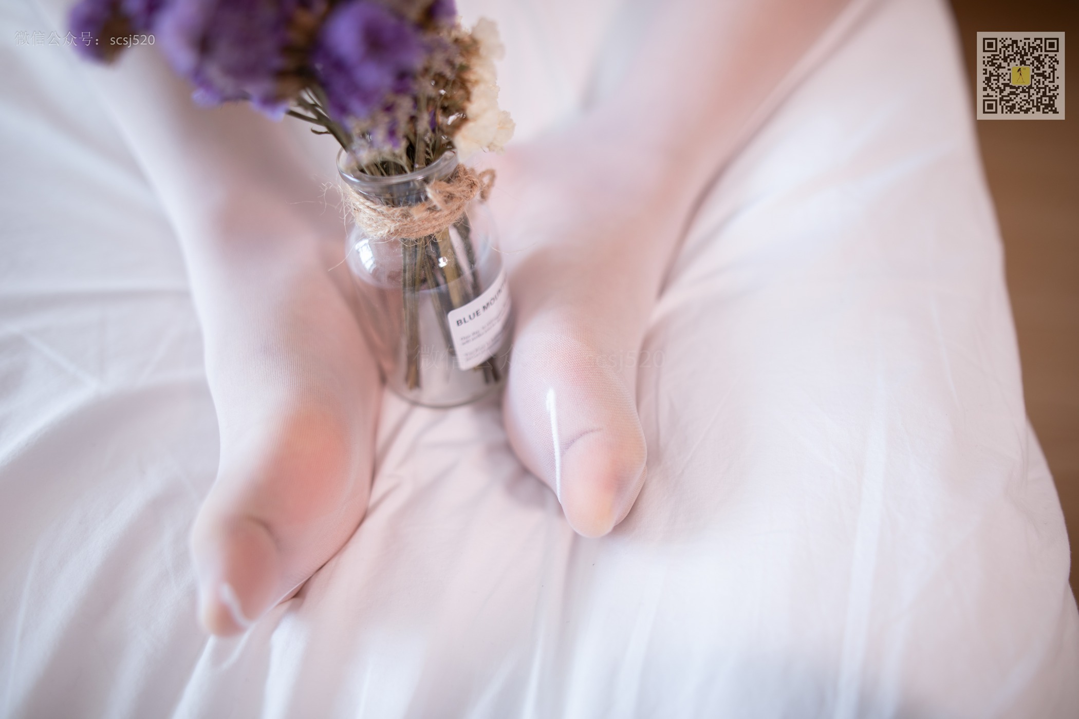 图片[47]-[LSS山茶摄影]NO.275 丝袜穿搭118[64P] – 速更版-美库