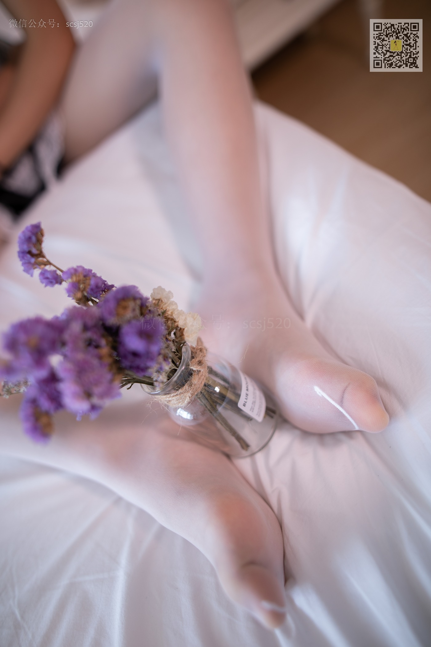 图片[48]-[LSS山茶摄影]NO.275 丝袜穿搭118[64P] – 速更版-美库