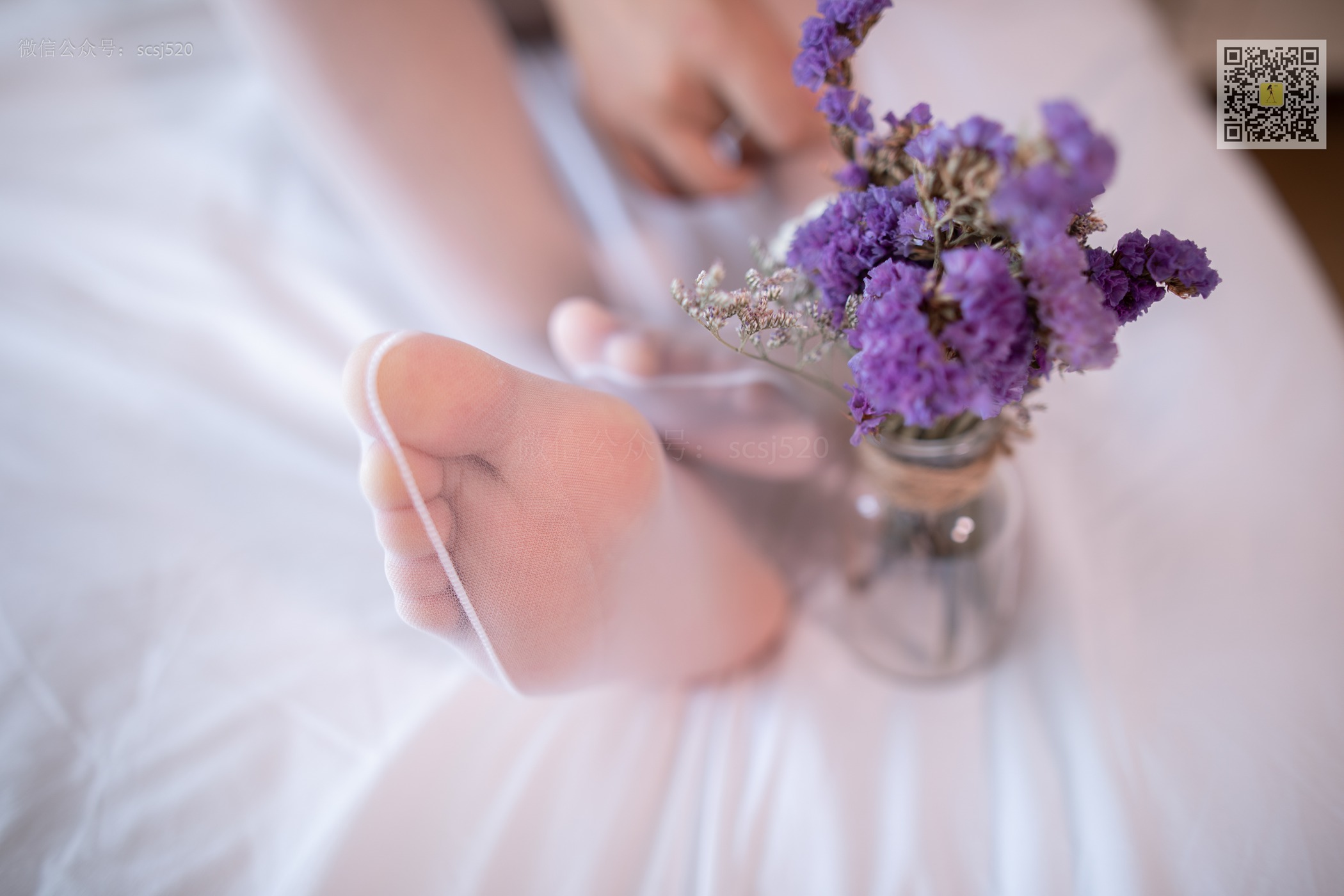 图片[52]-[LSS山茶摄影]NO.275 丝袜穿搭118[64P] – 速更版-美库