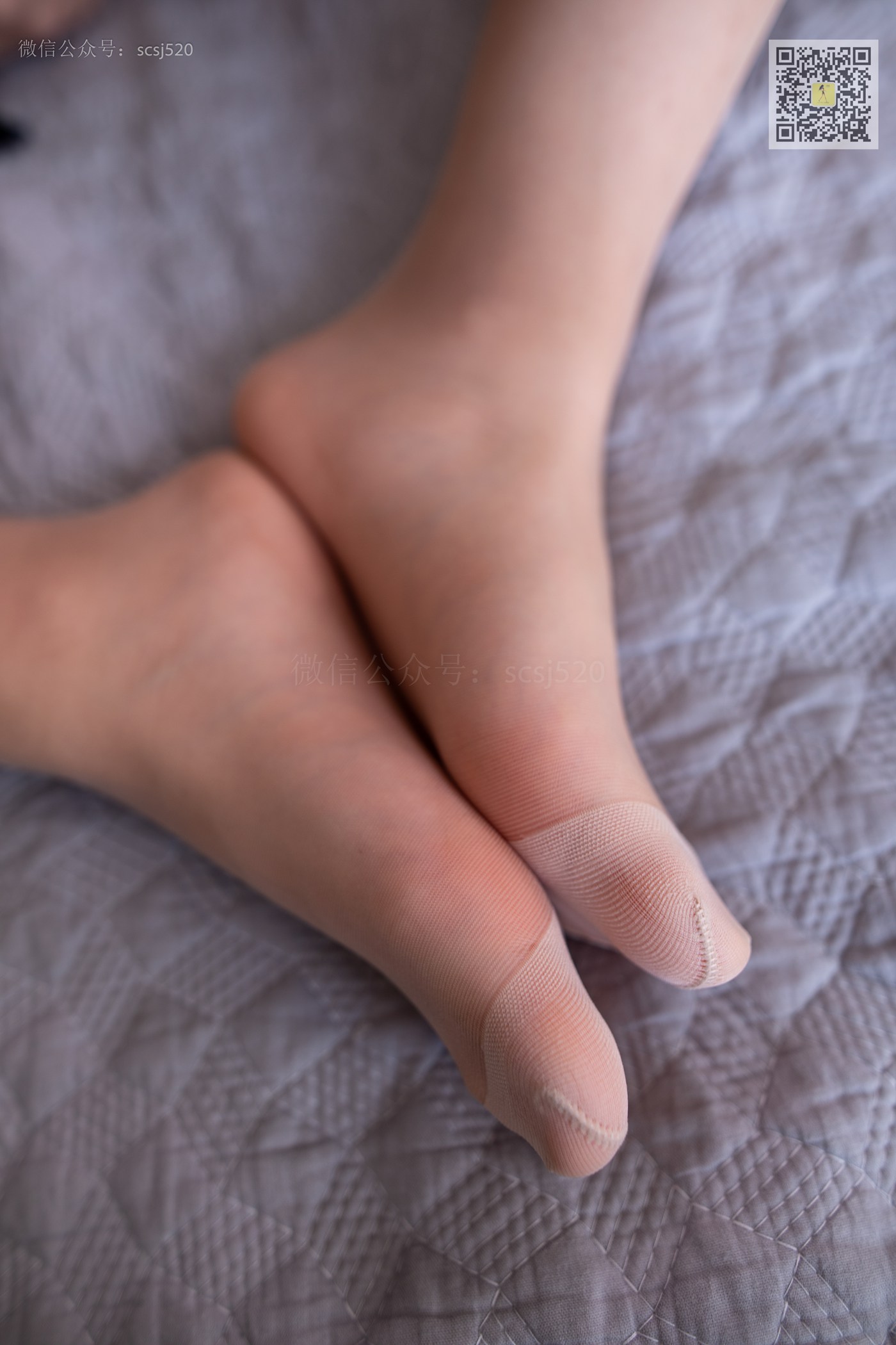 图片[37]-[LSS山茶摄影]NO.276 左左 自己穿丝袜来拍摄[79P] – 速更版-美库