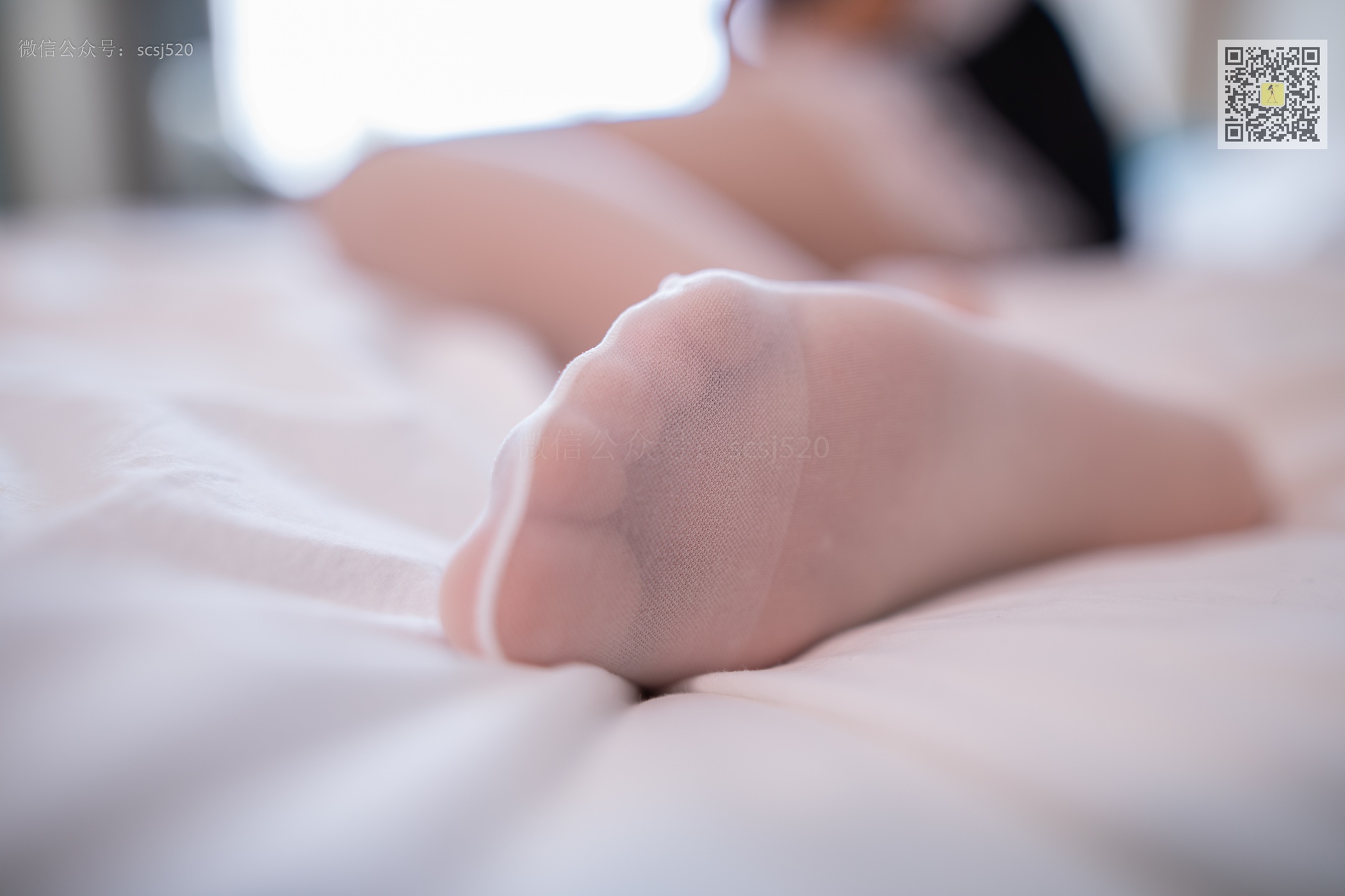 图片[61]-[LSS山茶摄影]NO.275 丝袜穿搭118[64P] – 速更版-美库