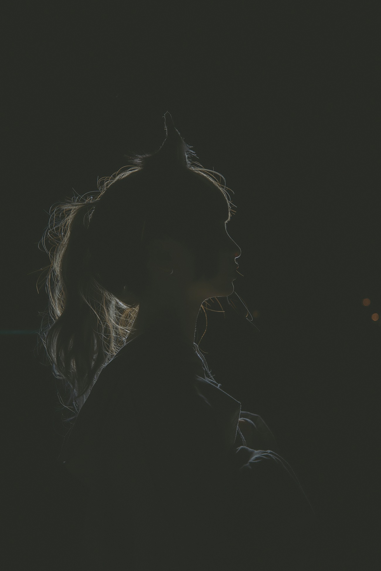 图片[53]-神楽板真冬《危険な耳》狼妹&兔娘 – 速更版-美库