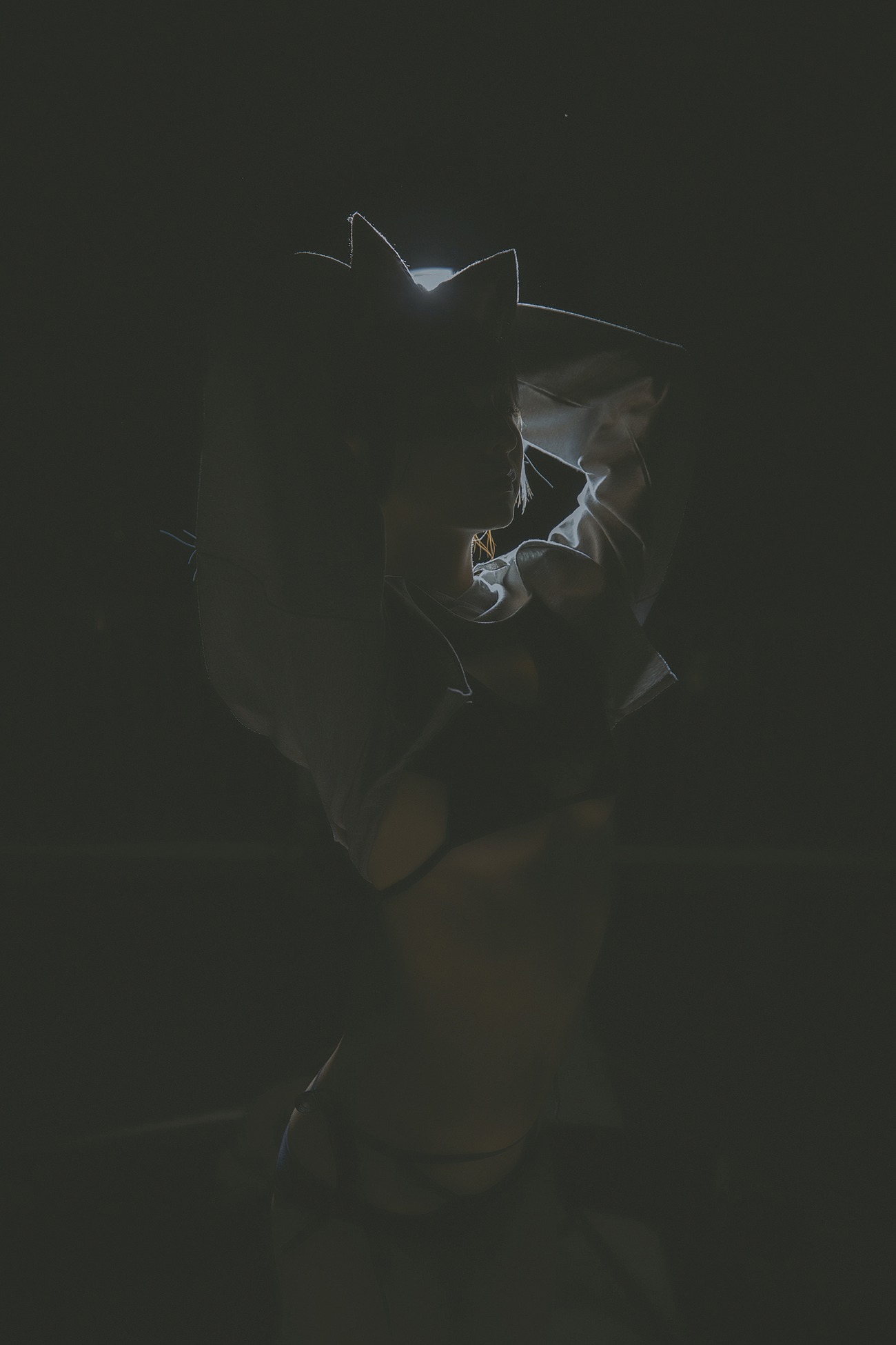 图片[55]-神楽板真冬《危険な耳》狼妹&兔娘 – 速更版-美库