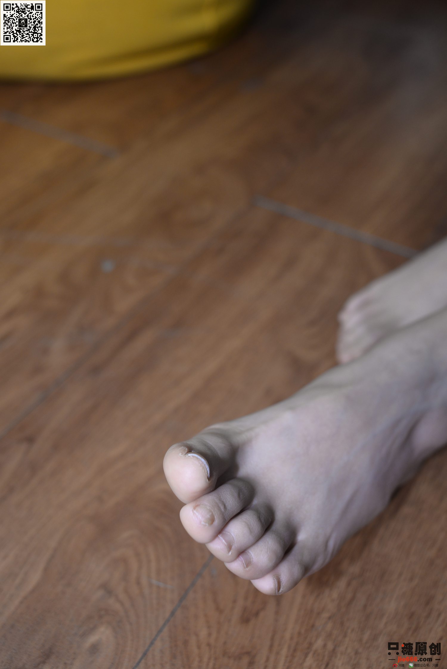 图片[41]-[只糖棉袜]NO.195 曾倩 暖风过境[237P] – 速更版-美库