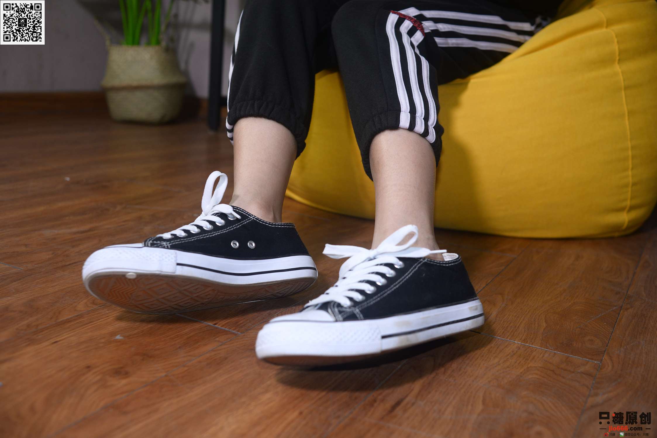 图片[174]-[只糖棉袜]NO.195 曾倩 暖风过境[237P] – 速更版-美库